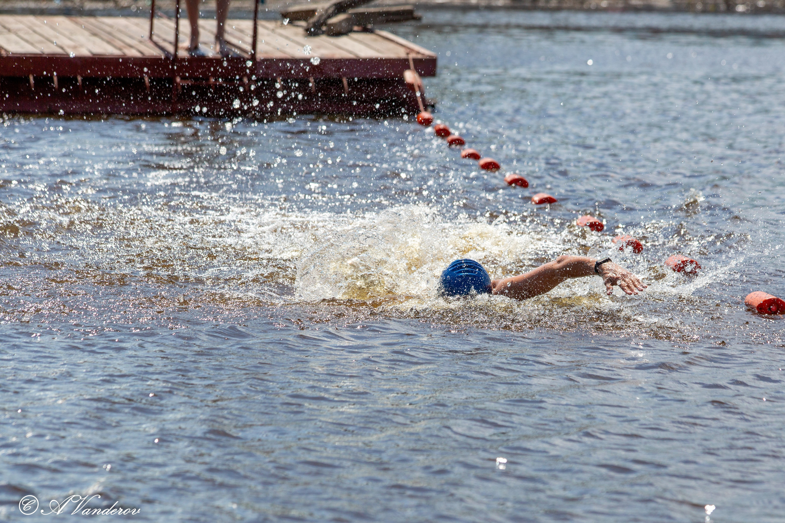 Заплыв 02.06.2024. Фотограф Омск | Александр Вандеров