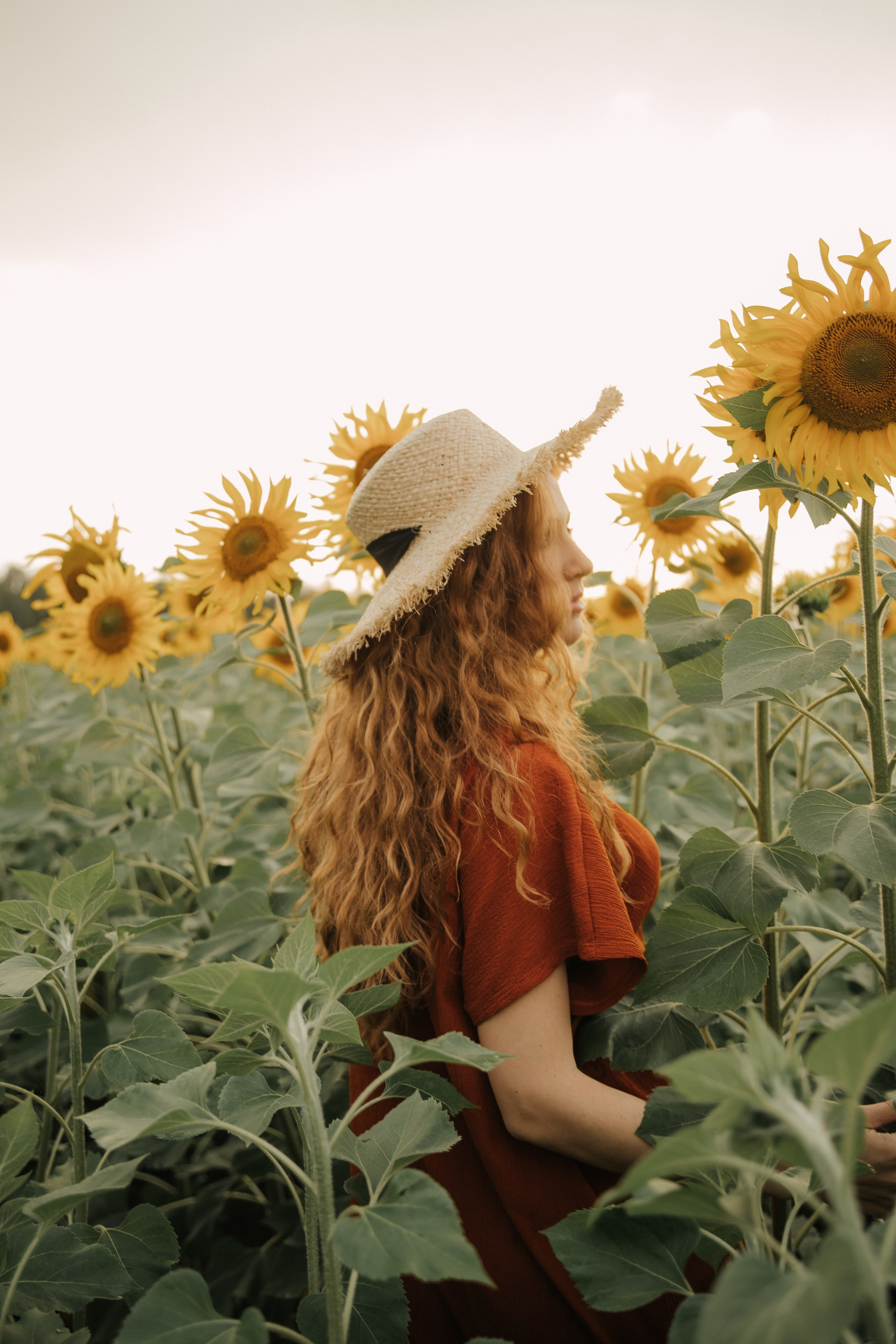 Лена и подсолнухи. Семейный и свадебный фотограф в Челябинске Юлия Софьина