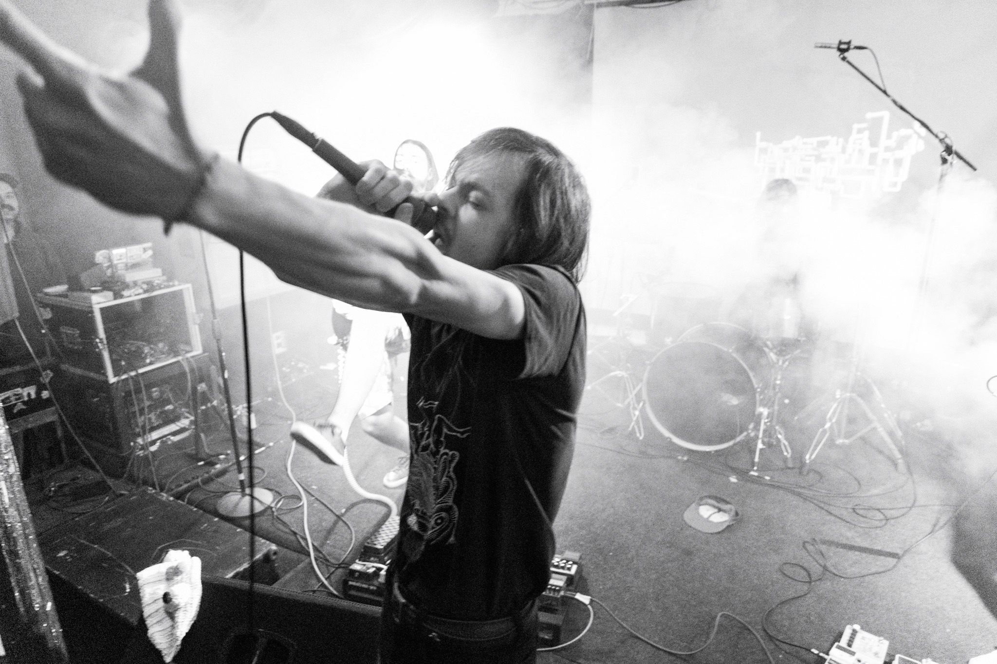 Змееед, Apodemus, 20.12.25, TAGO)))MAGO)))