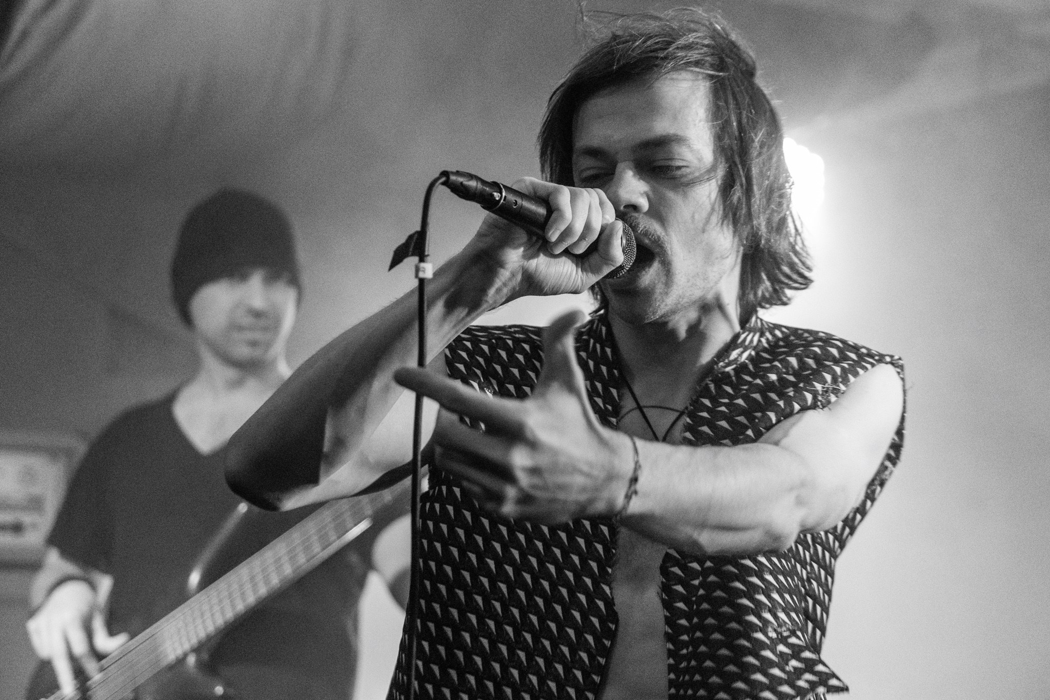 Змееед, Apodemus, 20.12.25, TAGO)))MAGO)))