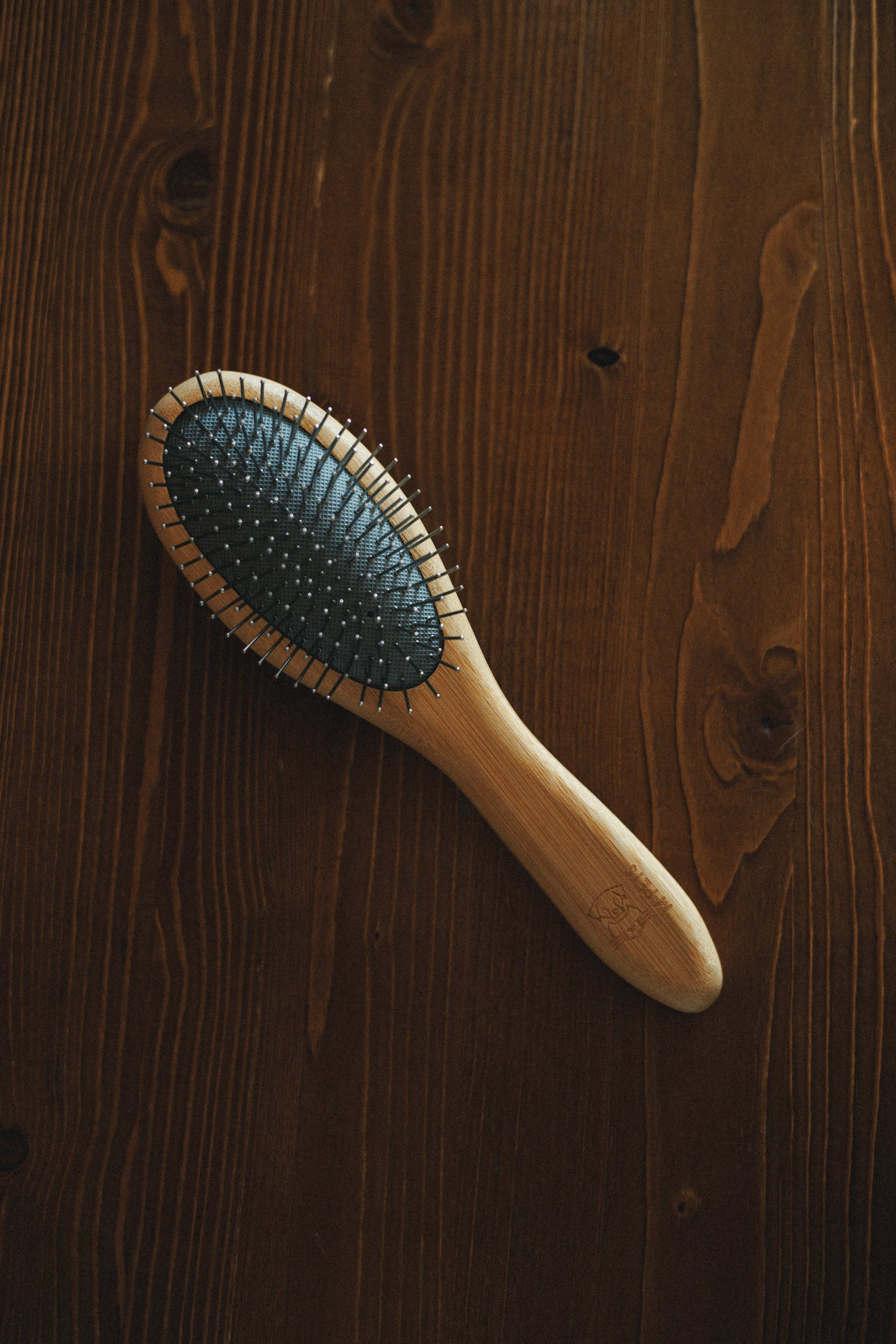 M-Pets. Фотограф анималист Осипчикова Мария