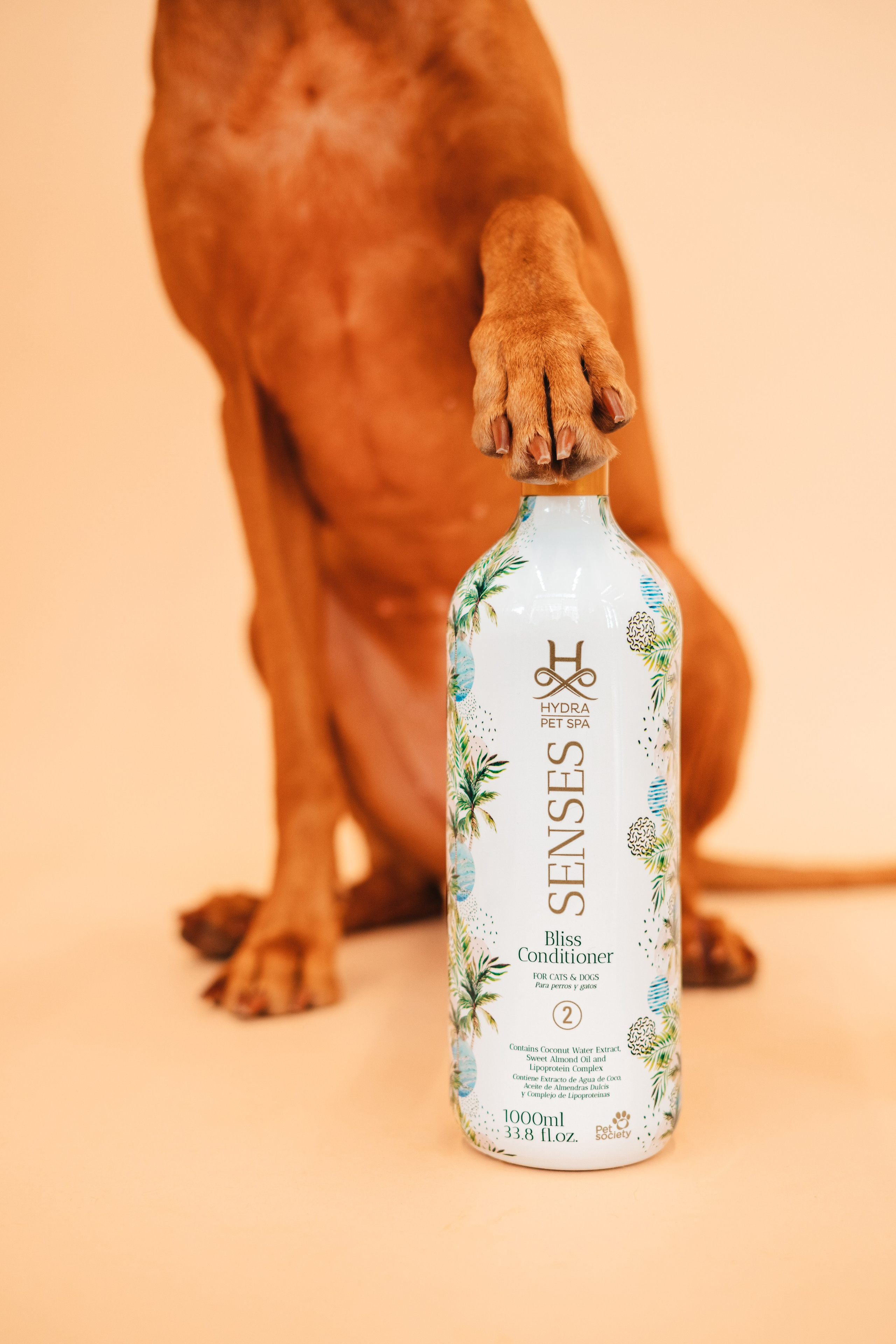 Груминг — салон. Фотограф анималист Осипчикова Мария