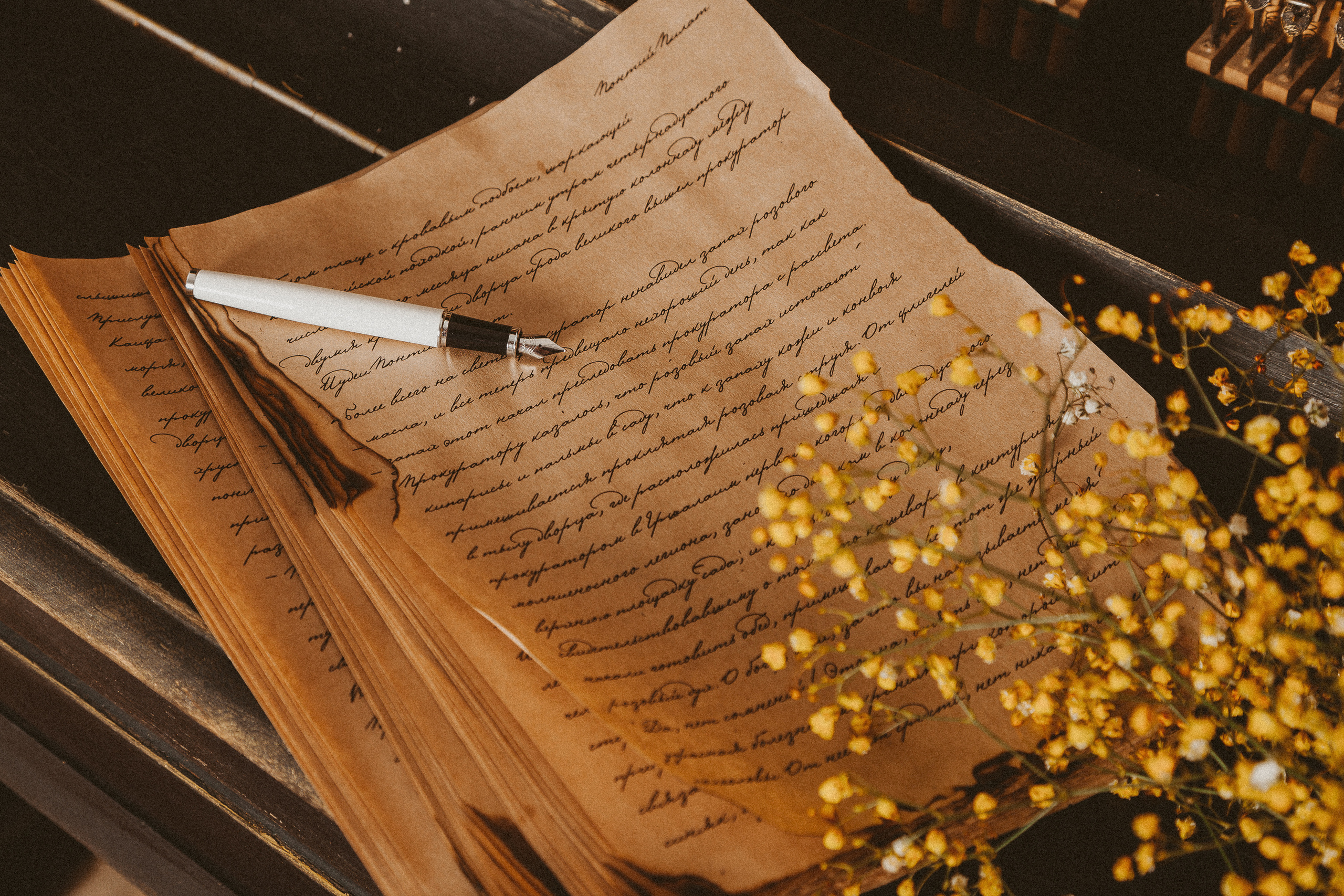 🤍. Екатерина Королева. Фотограф. Хабаровск