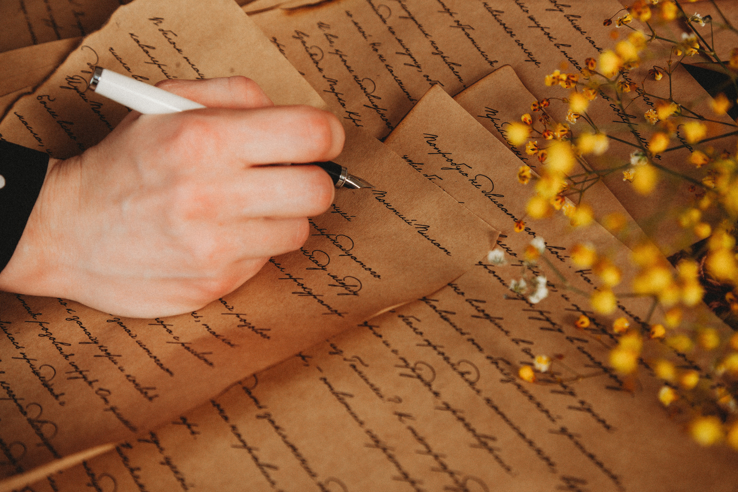 🤍. Екатерина Королева. Фотограф. Хабаровск