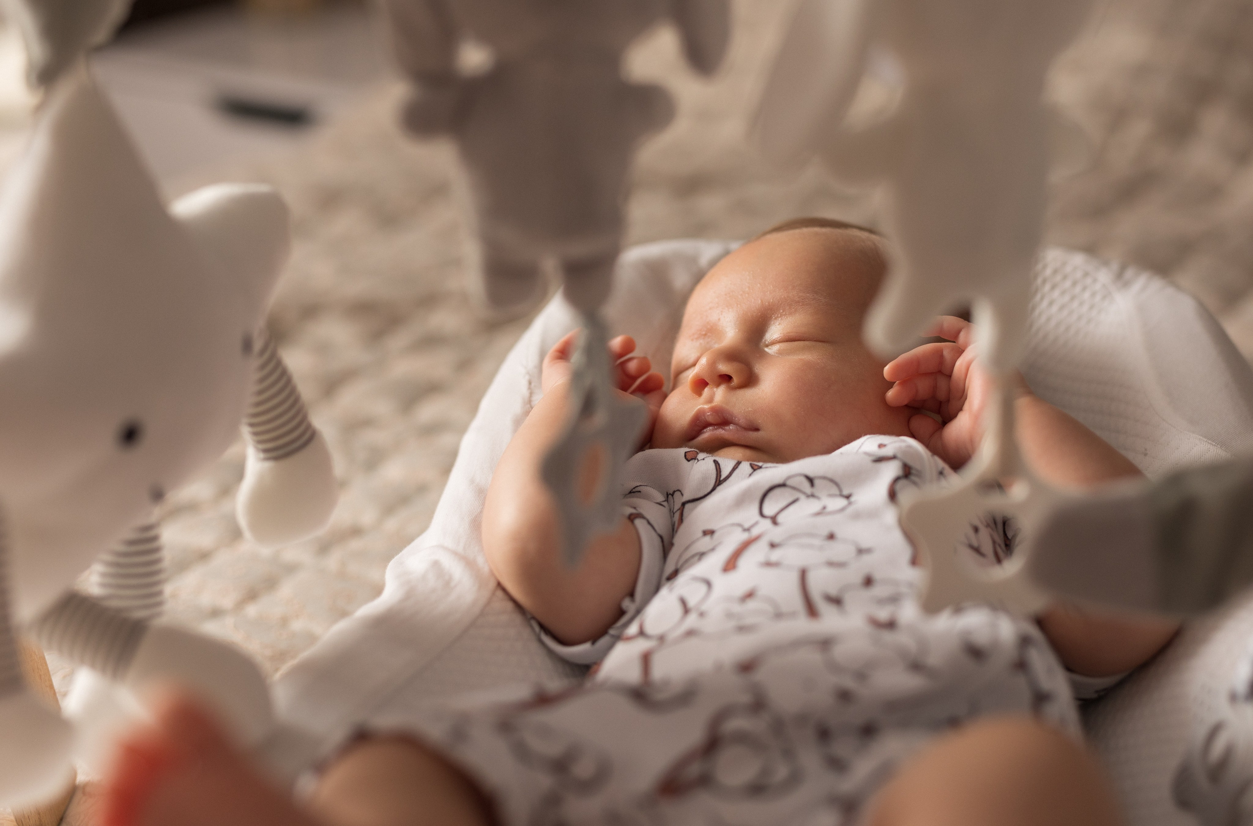 Аня, Саша и Маратик. Фотограф в Нижнем Новгороде, Дзержинске Олеся Хозяева