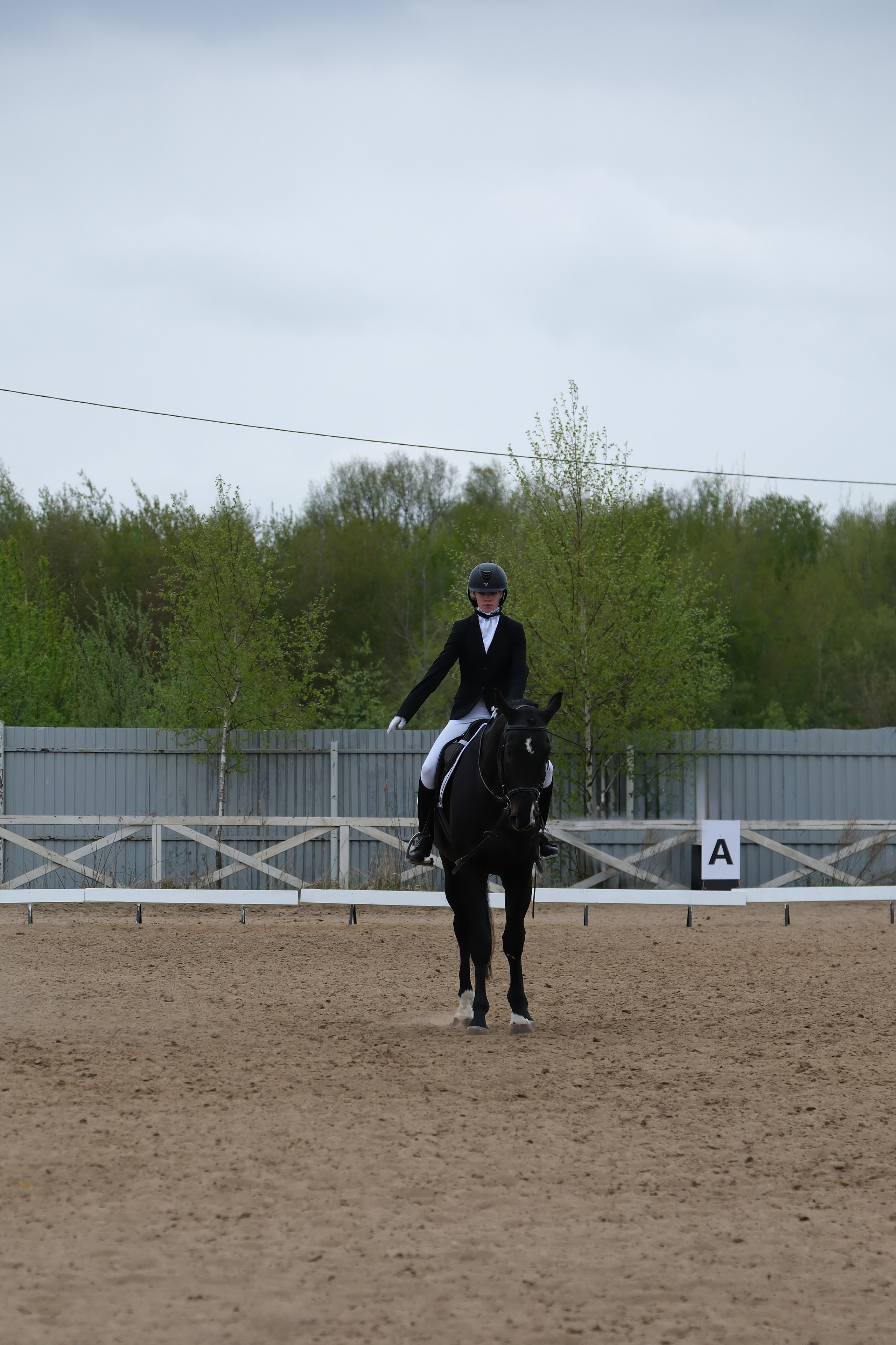 Соревнования по конному спорту в КСК «АЛЛЮР»!. Добро пожаловать в студию «Цифровой скульптор»  где искусство встречается с технологиями!
