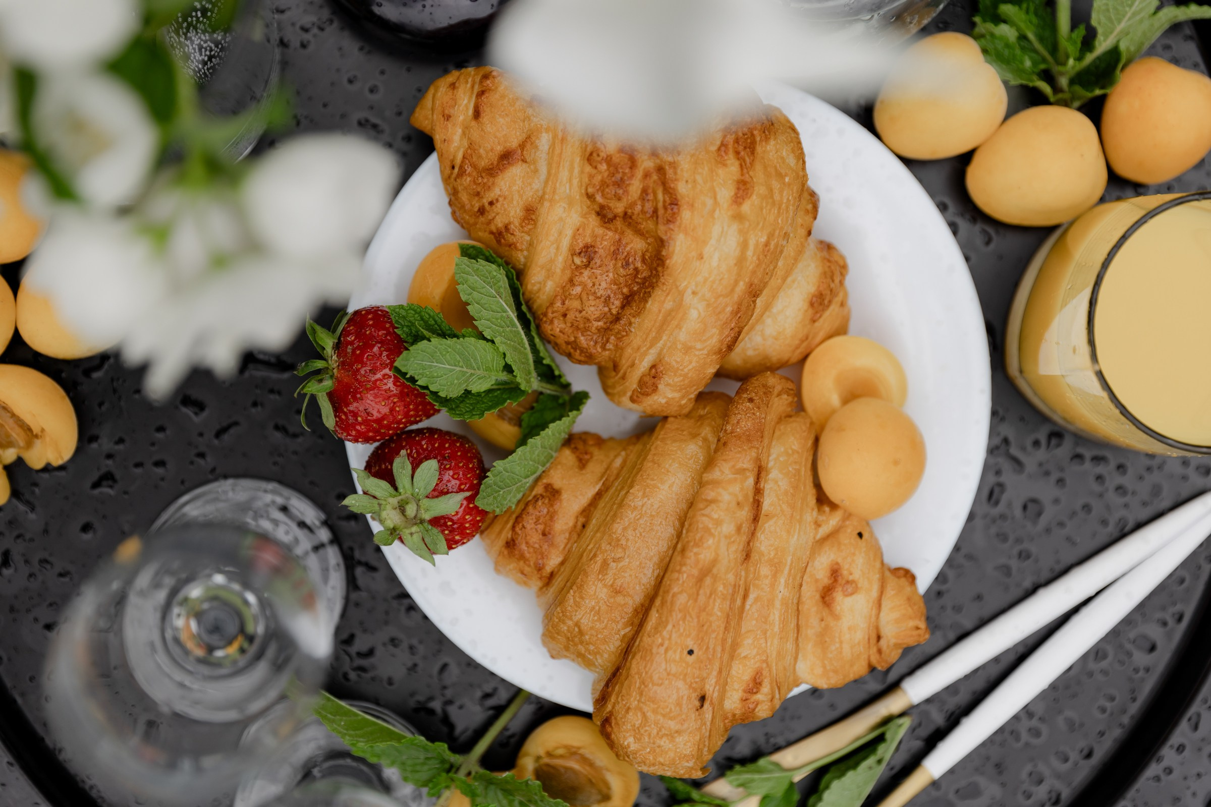 Свадьба пес и котики. Dima Lemeshevsky