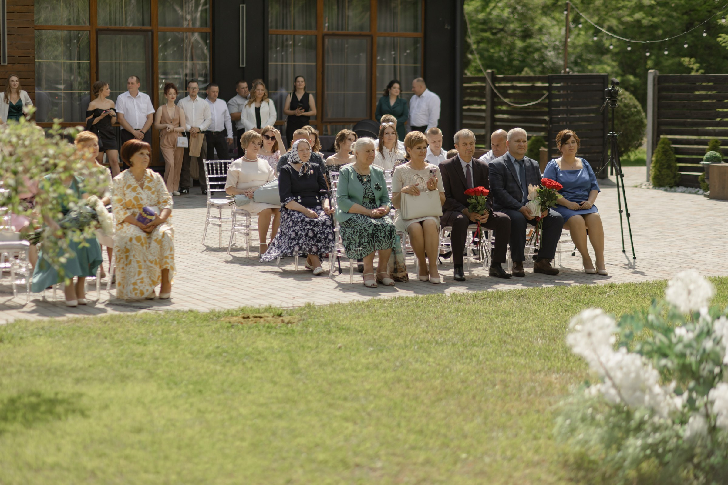 Свадьба пес и котики. Dima Lemeshevsky