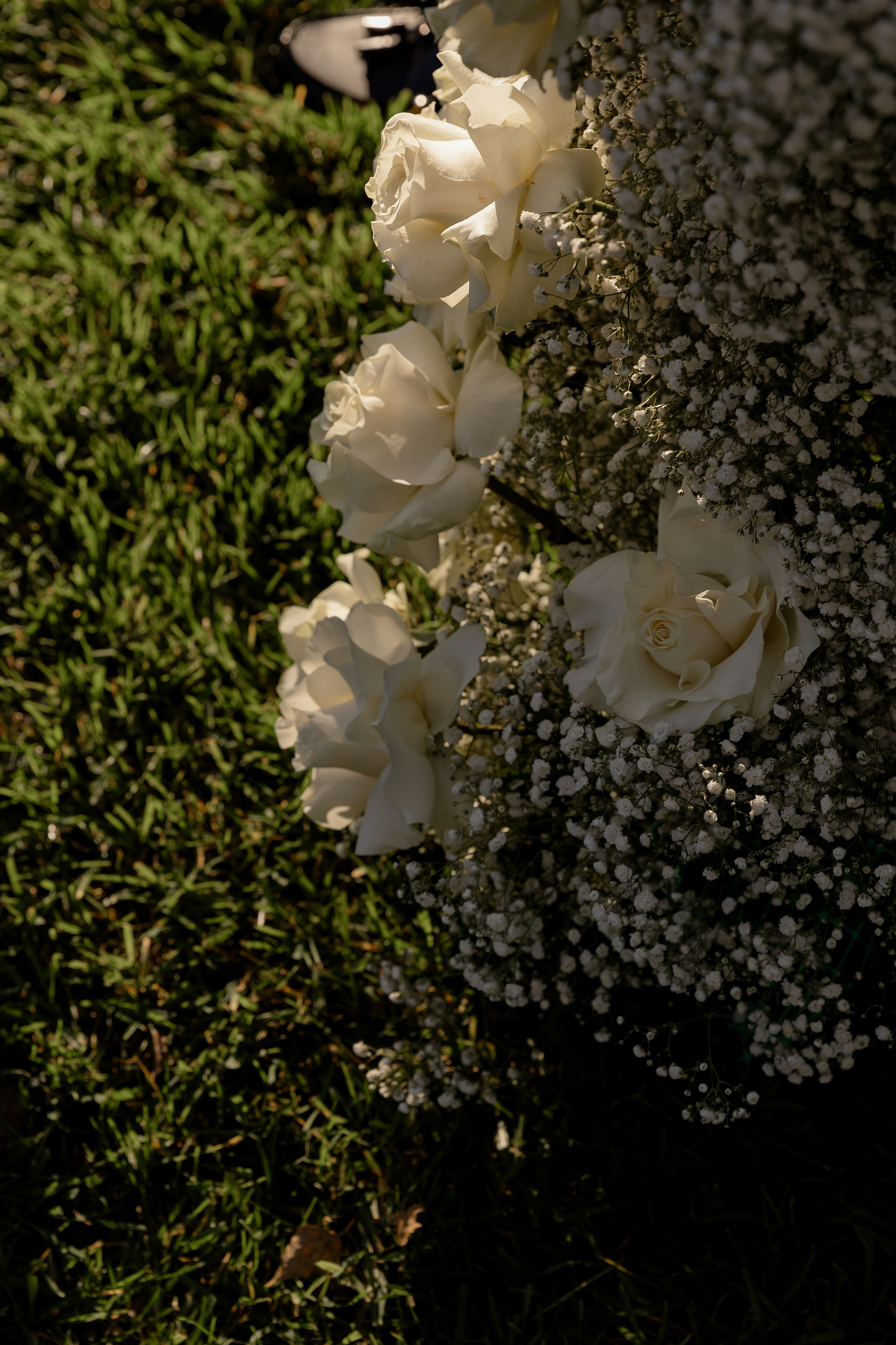 Кирилл и Даша. Dima Lemeshevsky