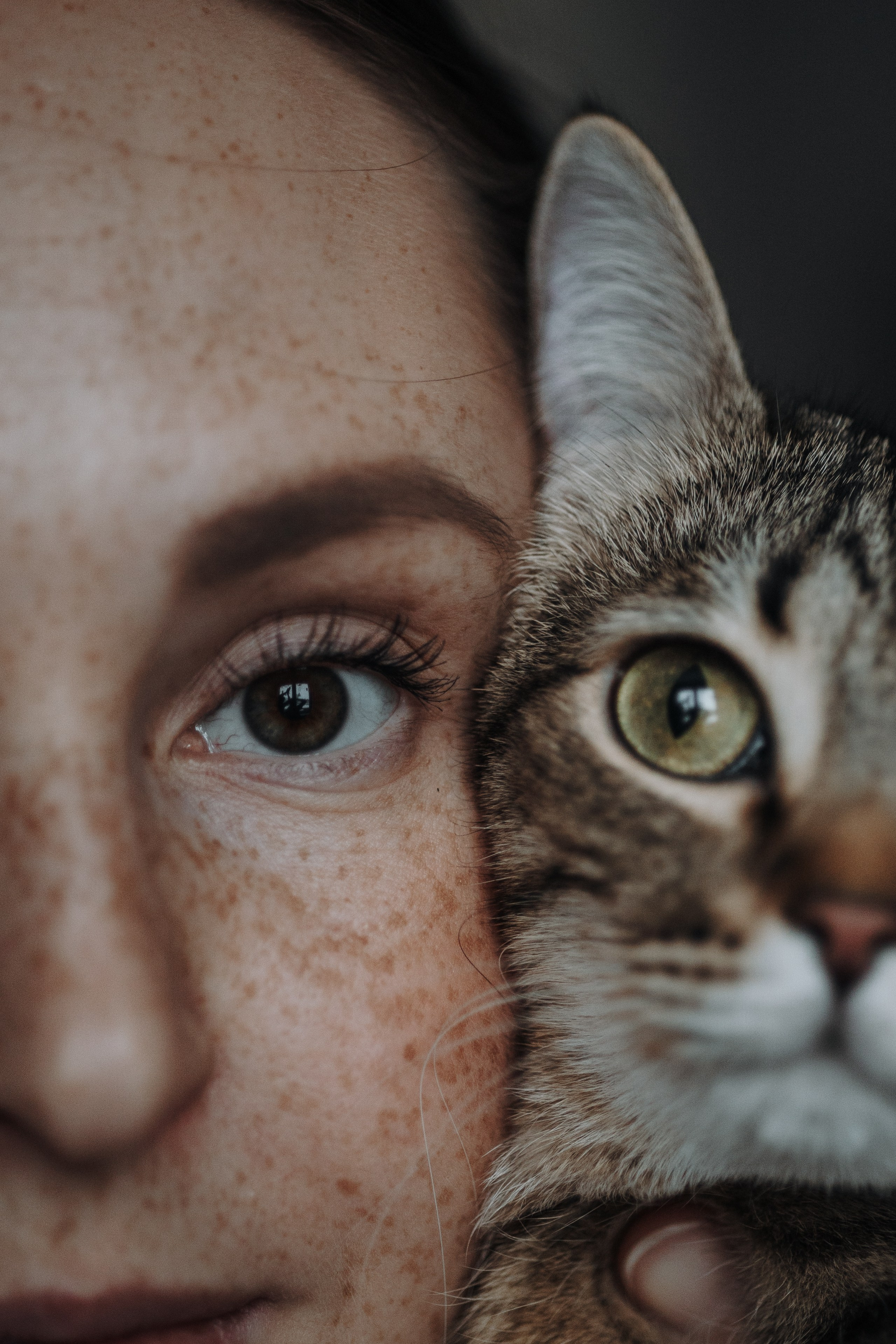 Мася и ее семья. Фотограф — Анималист | Санкт-Петербург