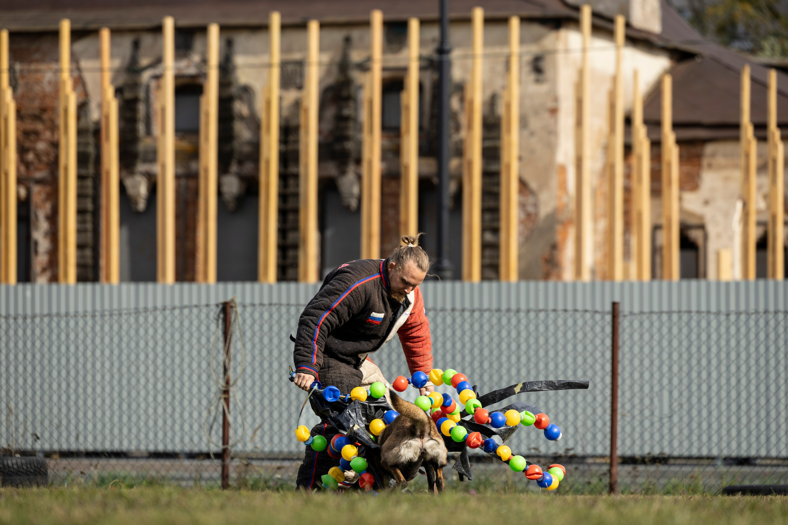 Испытания по Мондьорингу г. Пушкин. Фотограф-анималист Анна Маринич