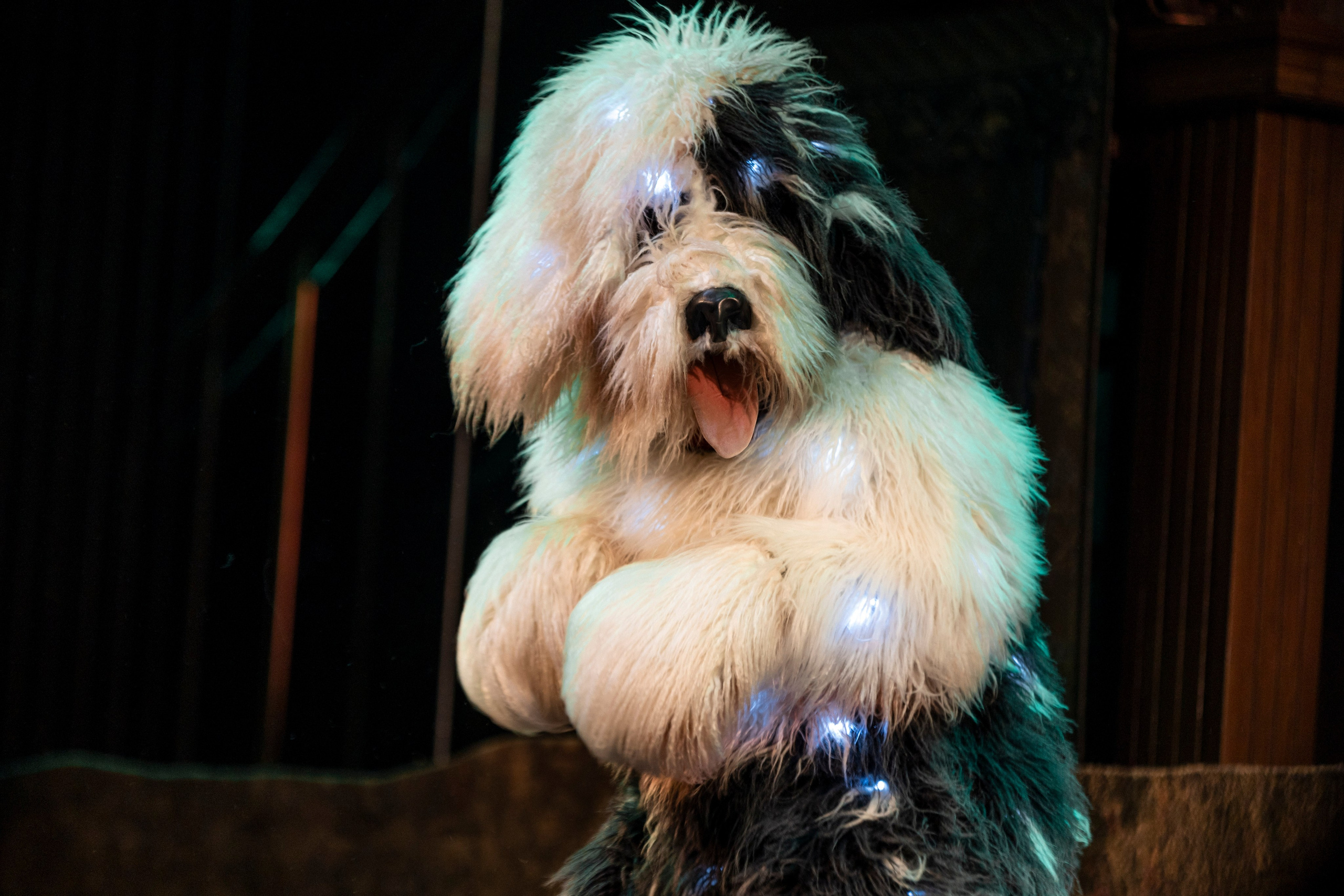 Театр. Портретный и репортажный фотограф в Москве Анастасия Черномырдина