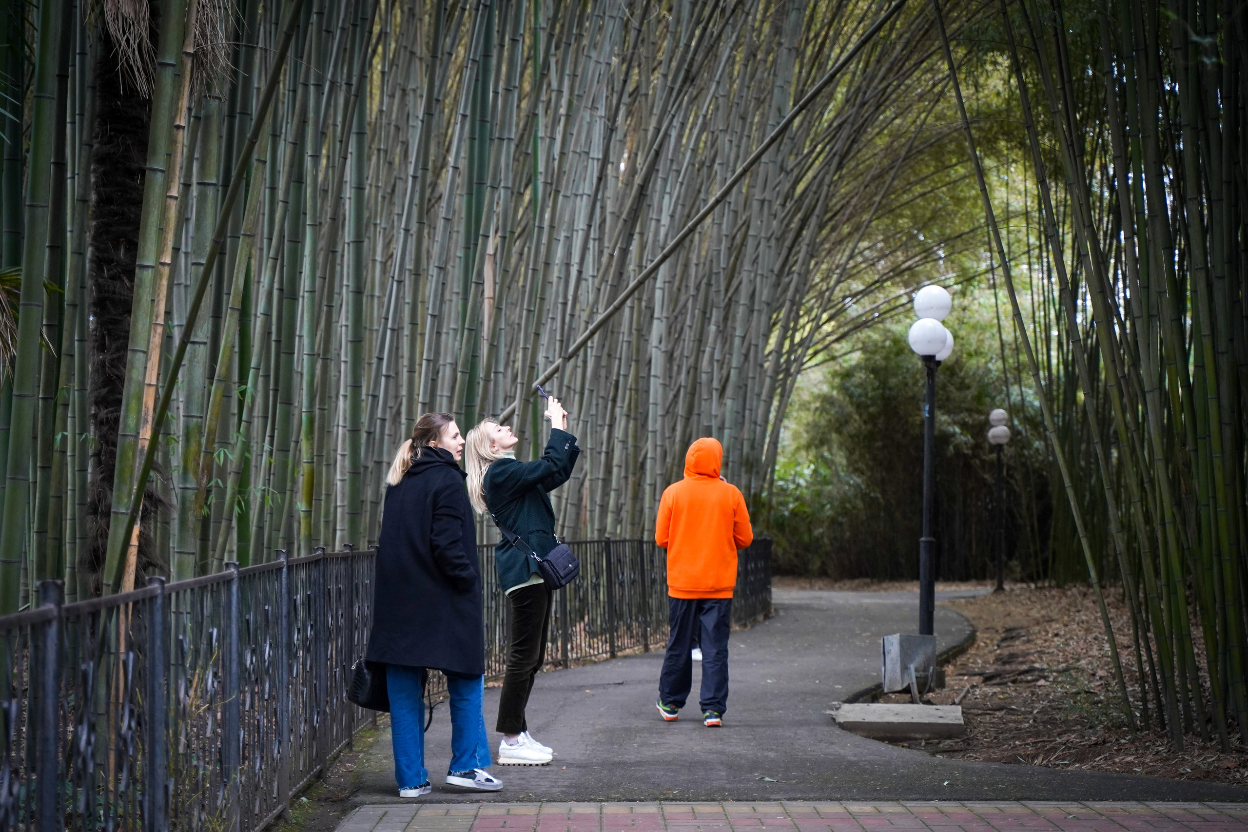 Фото Сочи 2023. Фотограф Наталья Погодина в г. Обнинске