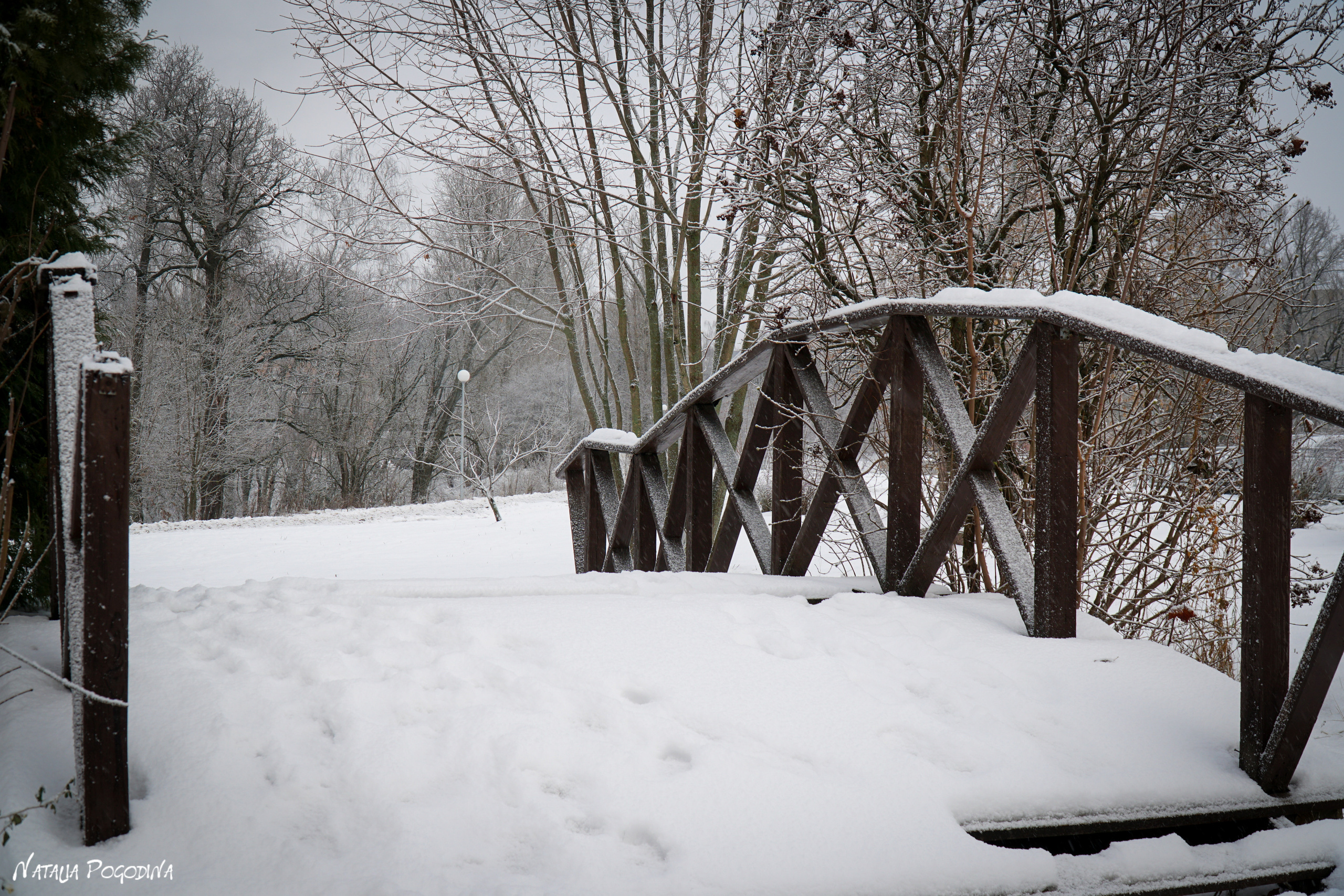 ОБНИНСК. Фотограф Наталья Погодина в г. Обнинске