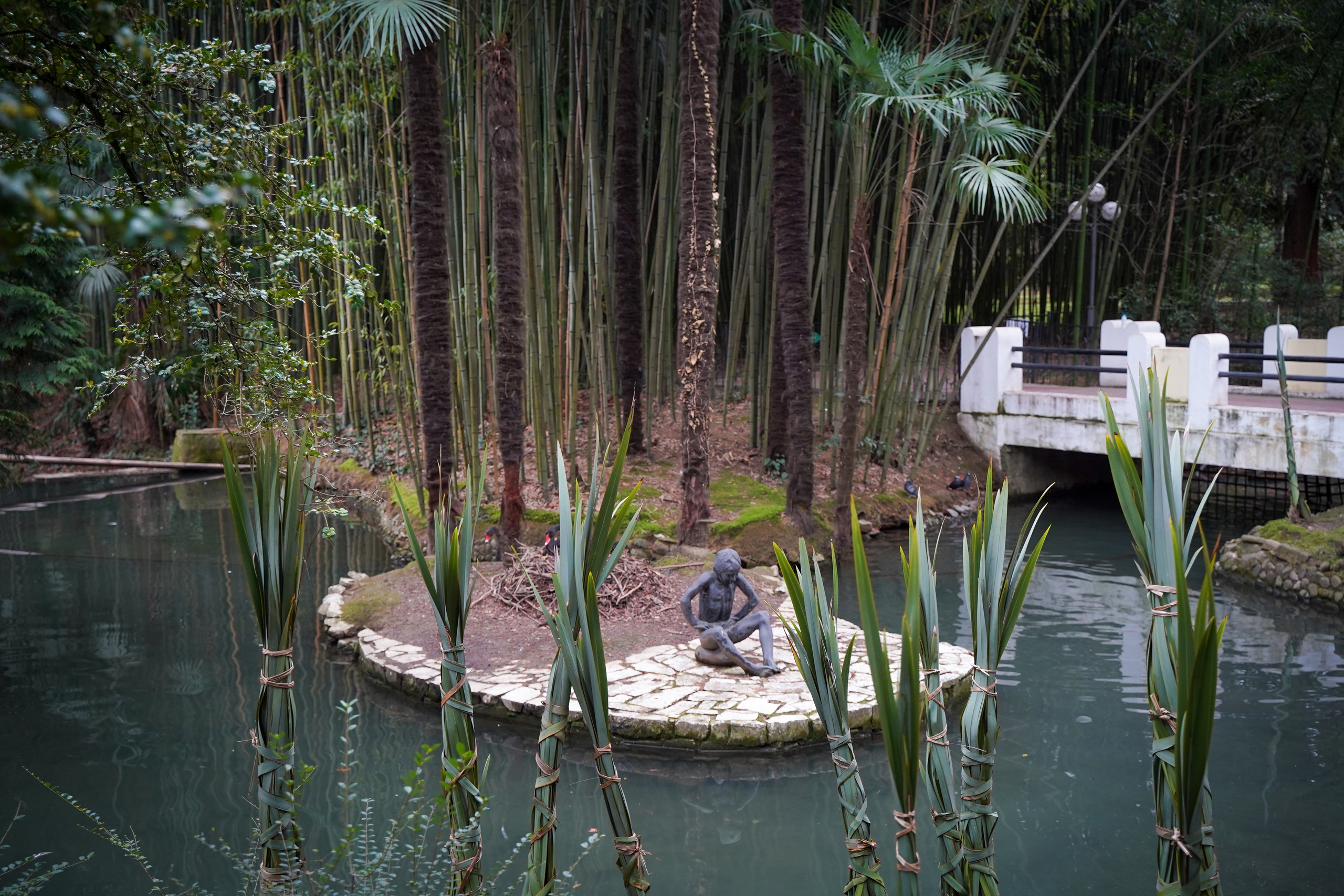 Фото Сочи 2023. Фотограф Наталья Погодина в г. Обнинске