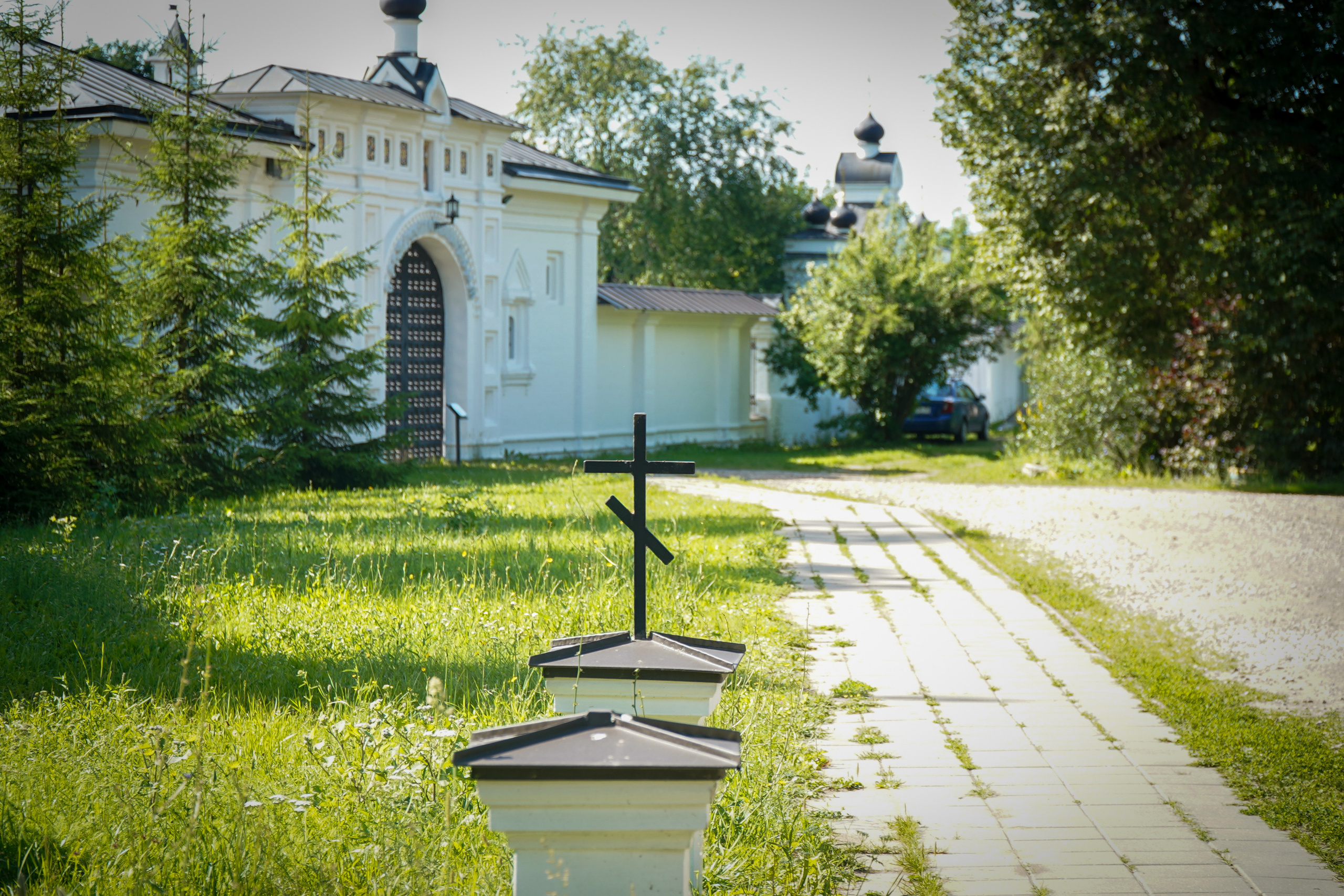 ВЕРЕЯ. Июль 2023. Фотограф Наталья Погодина в г. Обнинске