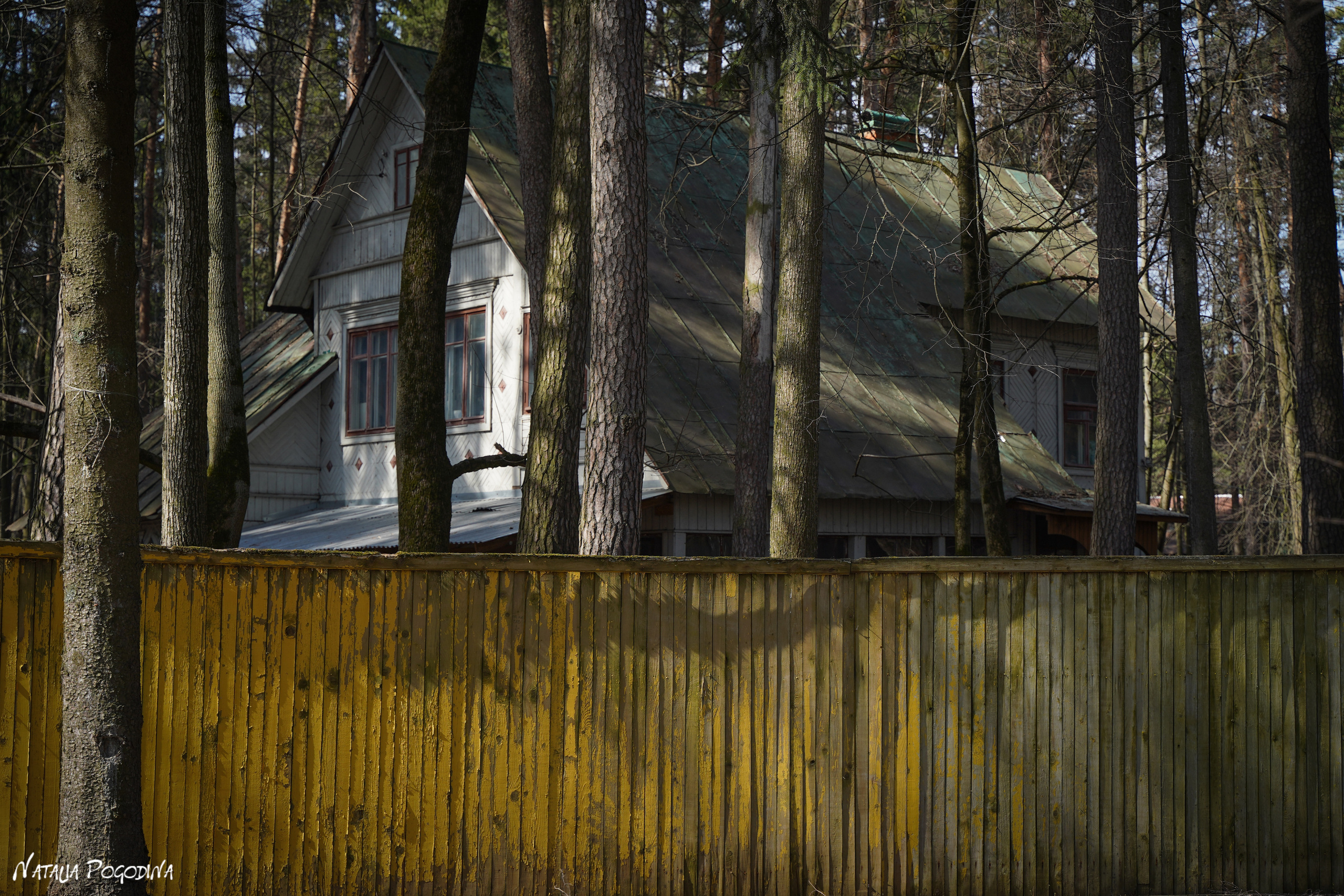 Фотопрогулка в Переделкино. Фотограф Наталья Погодина в г. Обнинске