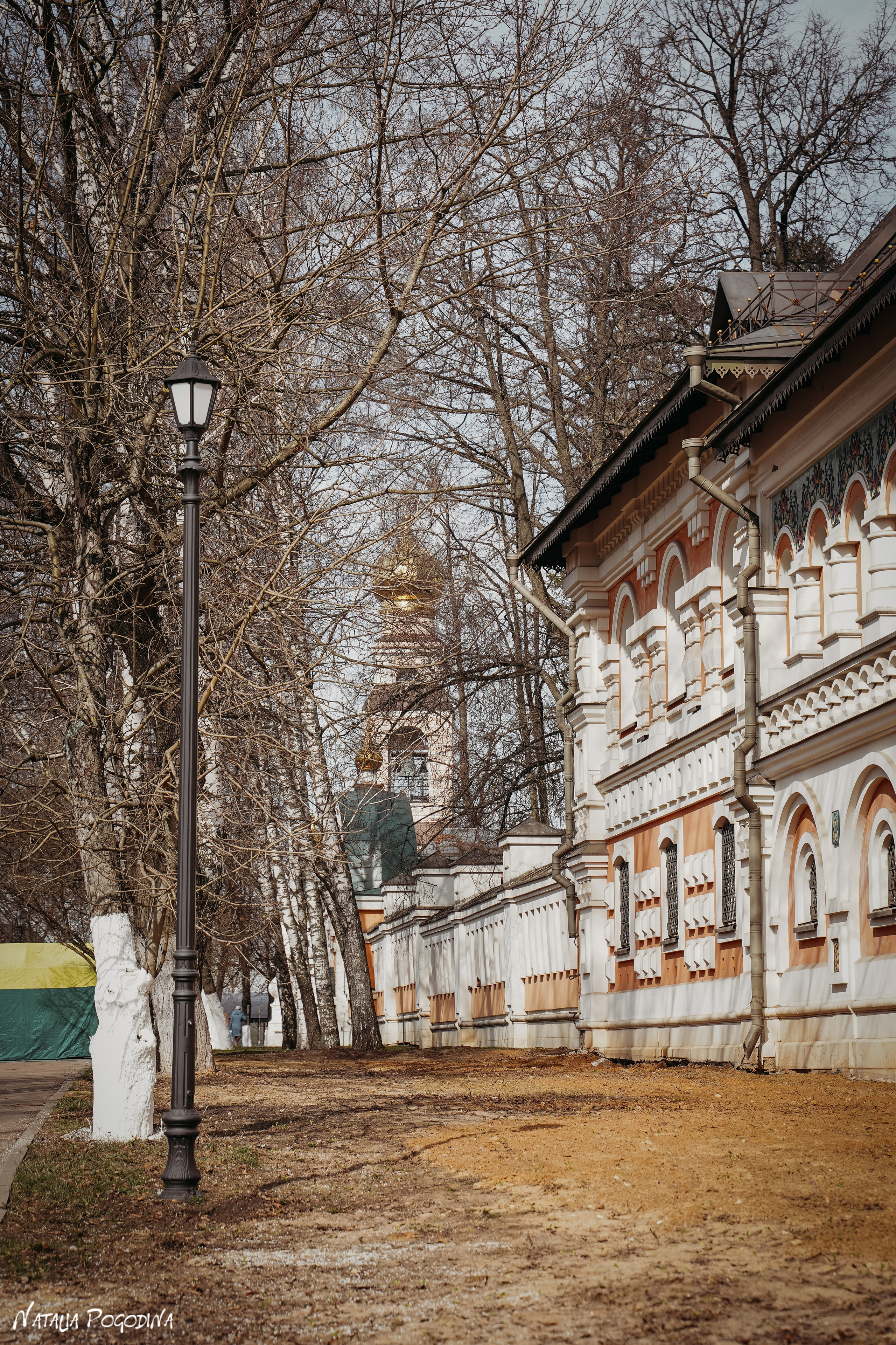 Фотопрогулка в Переделкино. Фотограф Наталья Погодина в г. Обнинске