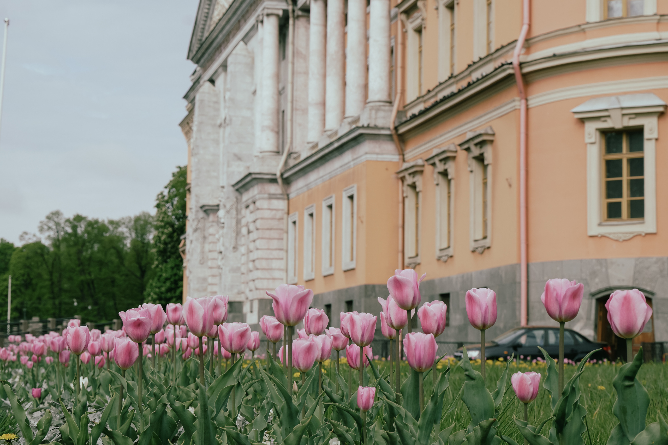 САНКТ-ПЕТЕРБУРГ. Май 2022. Фотограф Наталья Погодина в г. Обнинске