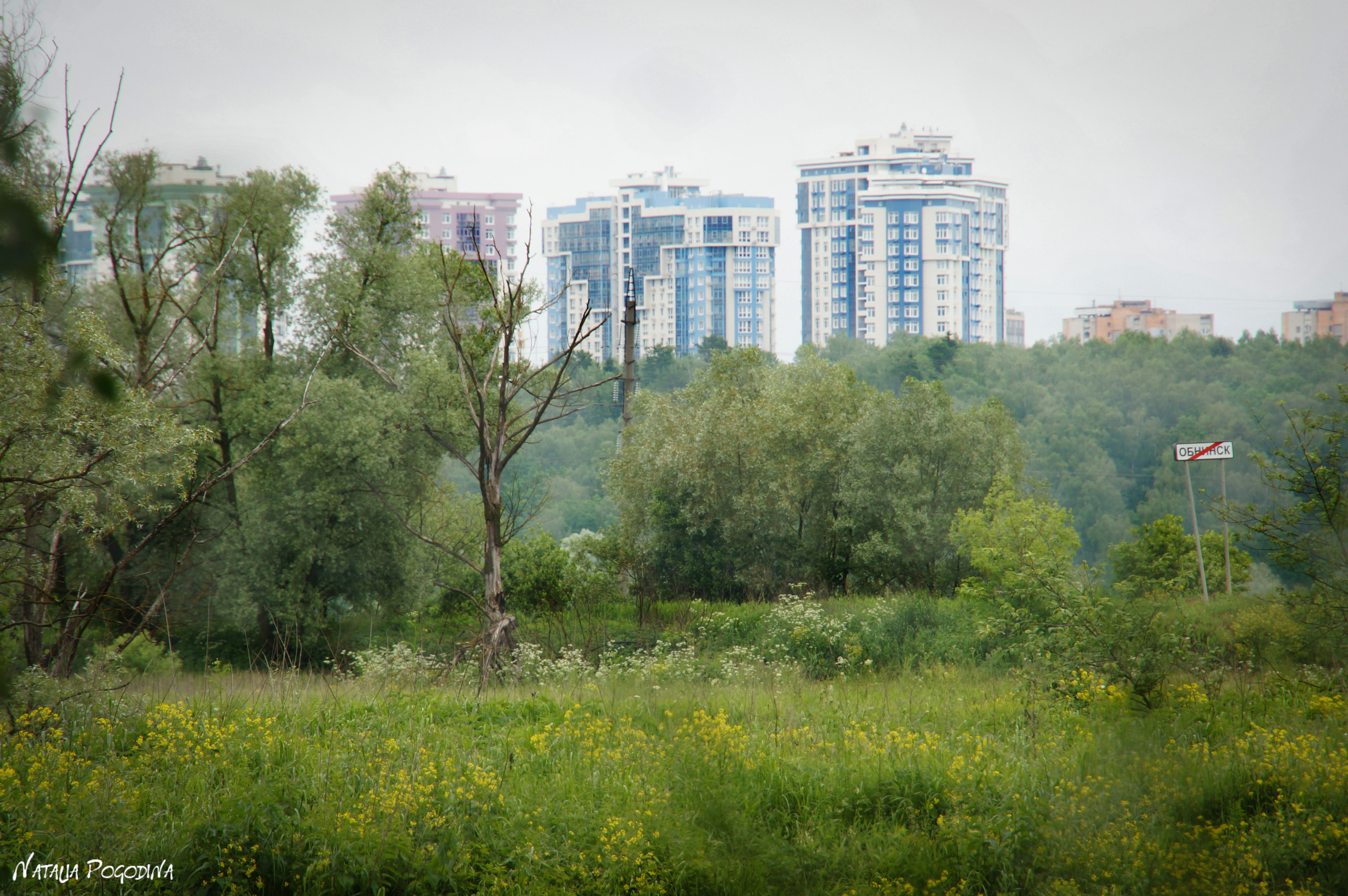 ОБНИНСК. Фотограф Наталья Погодина в г. Обнинске