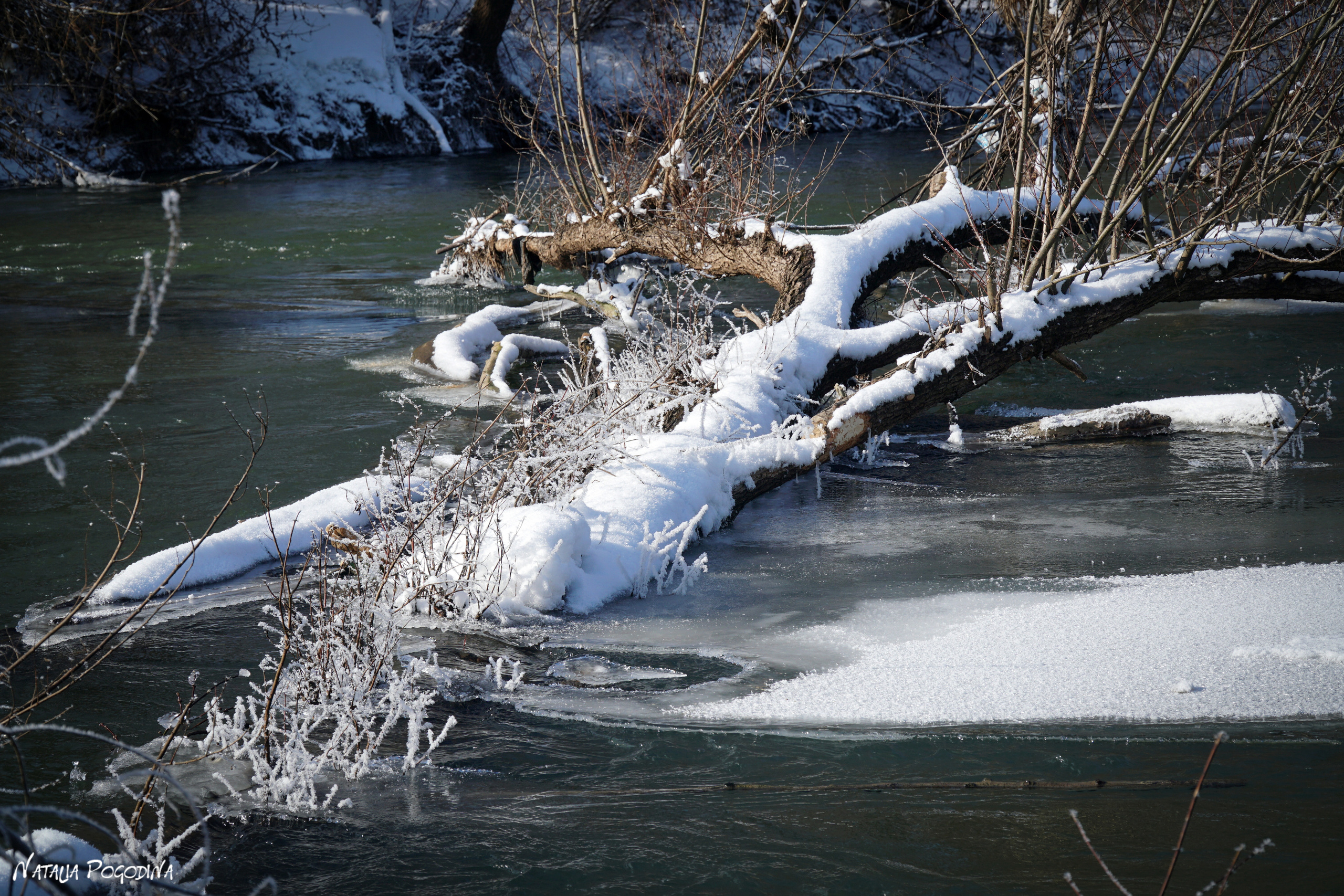 ОБНИНСК. Фотограф Наталья Погодина в г. Обнинске