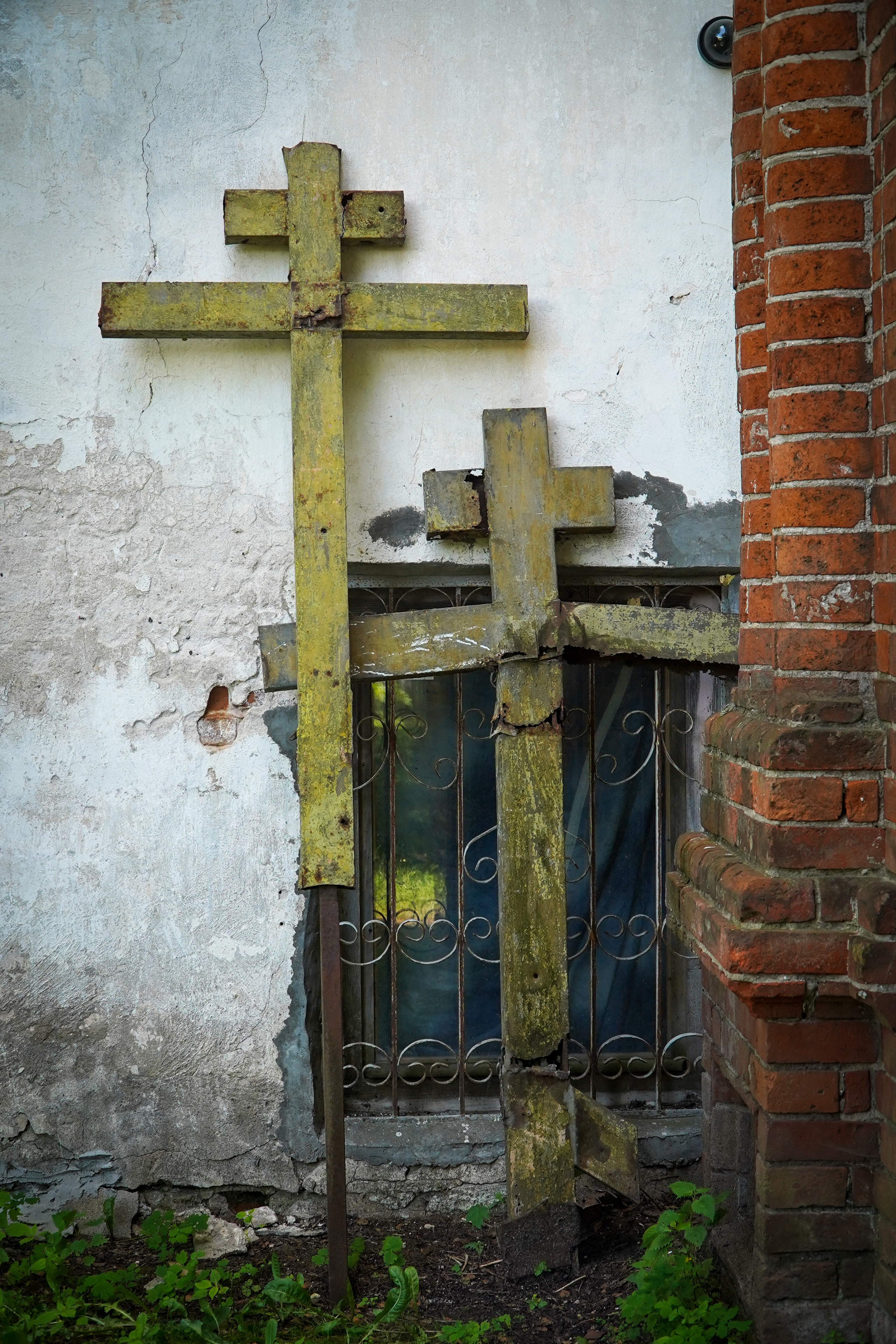 ВЕРЕЯ. Июль 2023. Фотограф Наталья Погодина в г. Обнинске