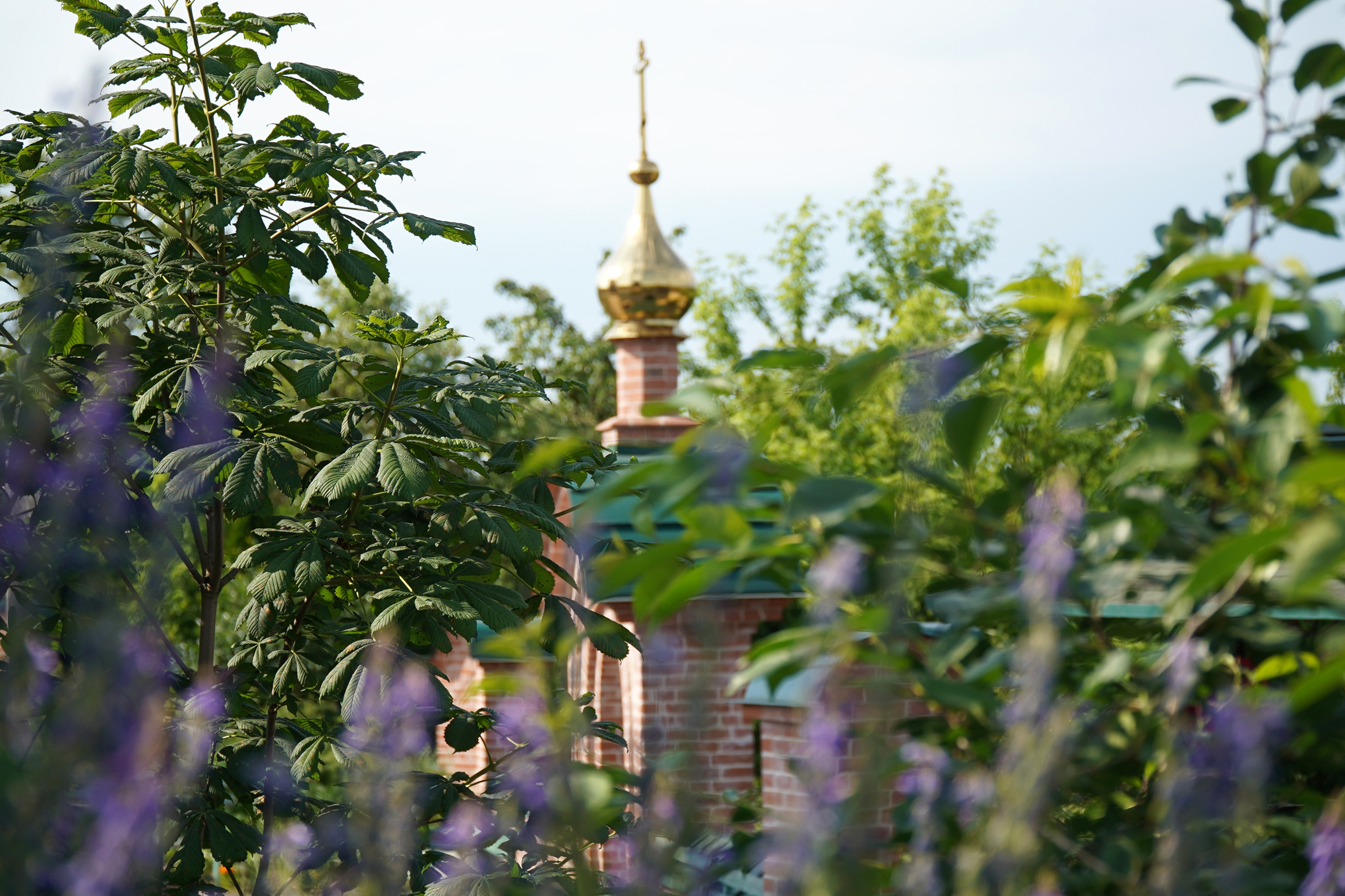 РУСИНОВО. Фотограф Наталья Погодина в г. Обнинске
