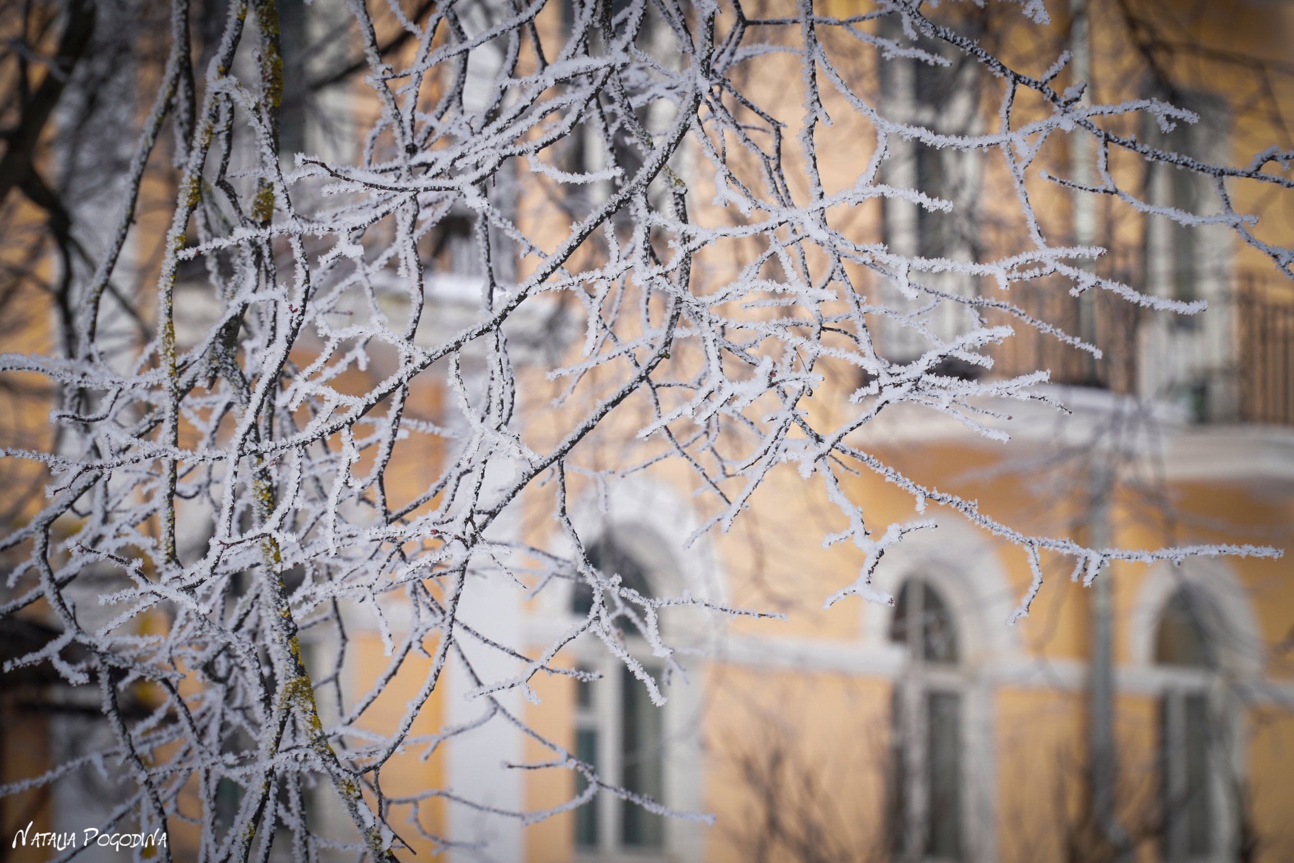ОБНИНСК. Фотограф Наталья Погодина в г. Обнинске
