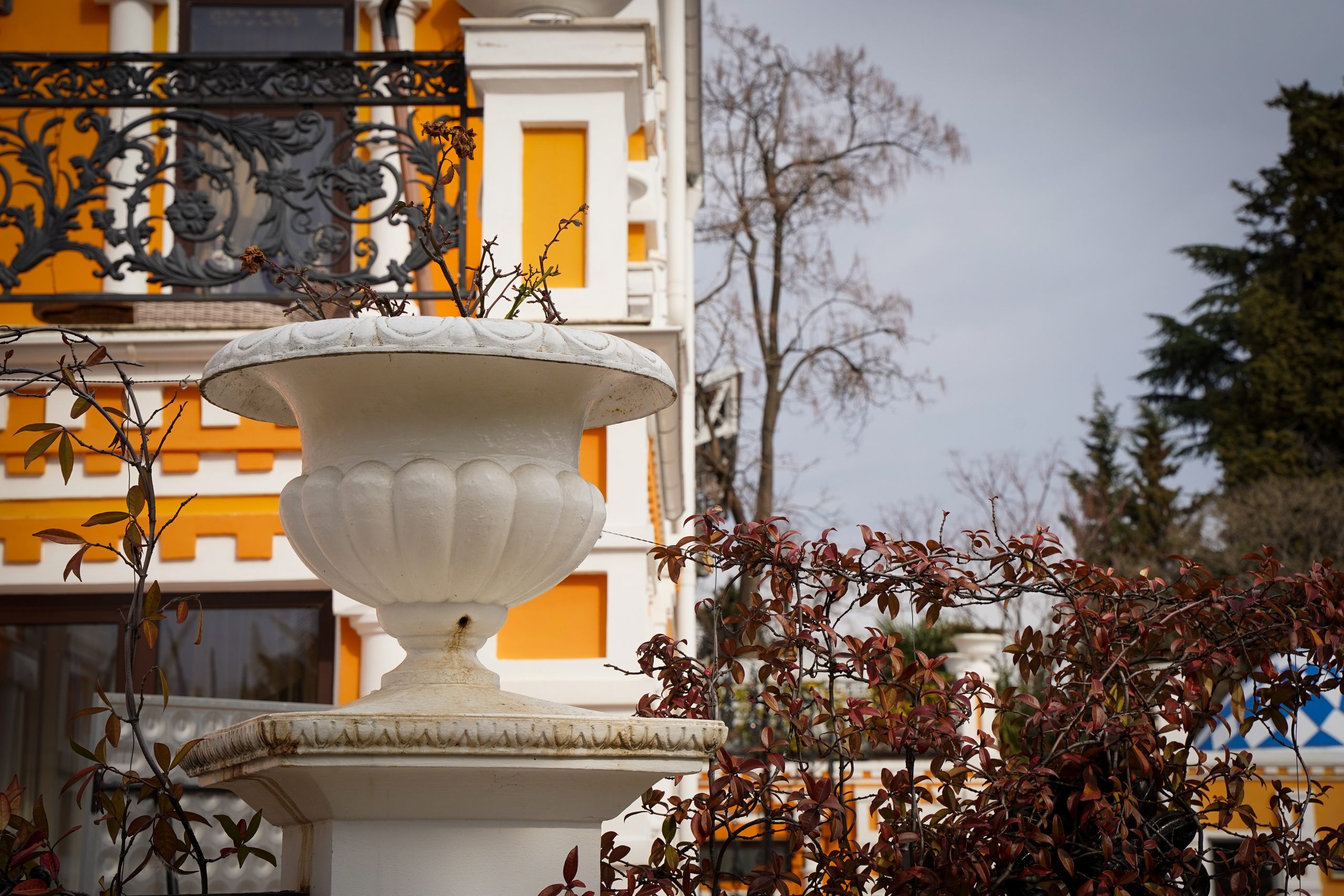 Фото Сочи 2023. Фотограф Наталья Погодина в г. Обнинске