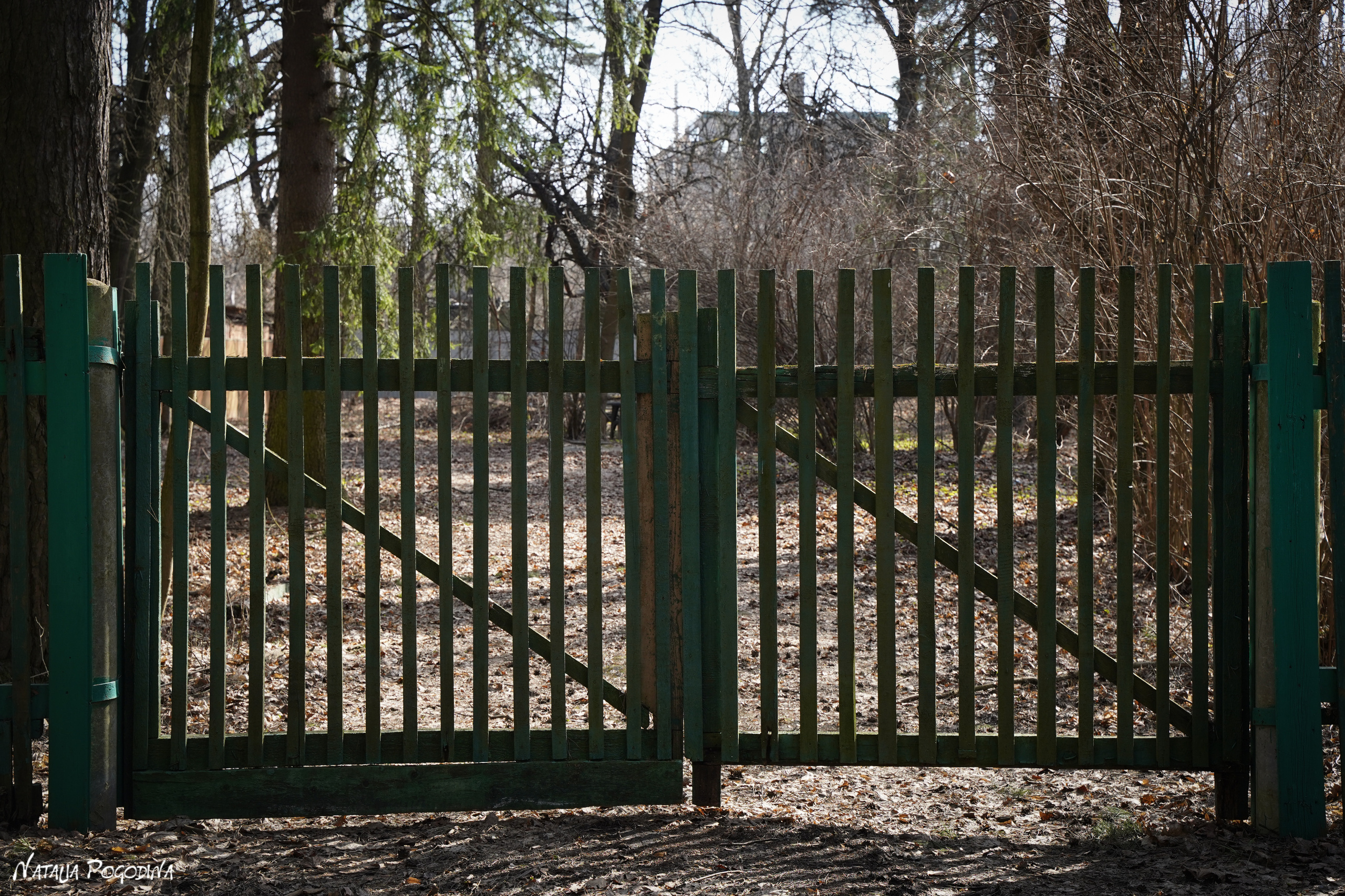Фотопрогулка в Переделкино. Фотограф Наталья Погодина в г. Обнинске