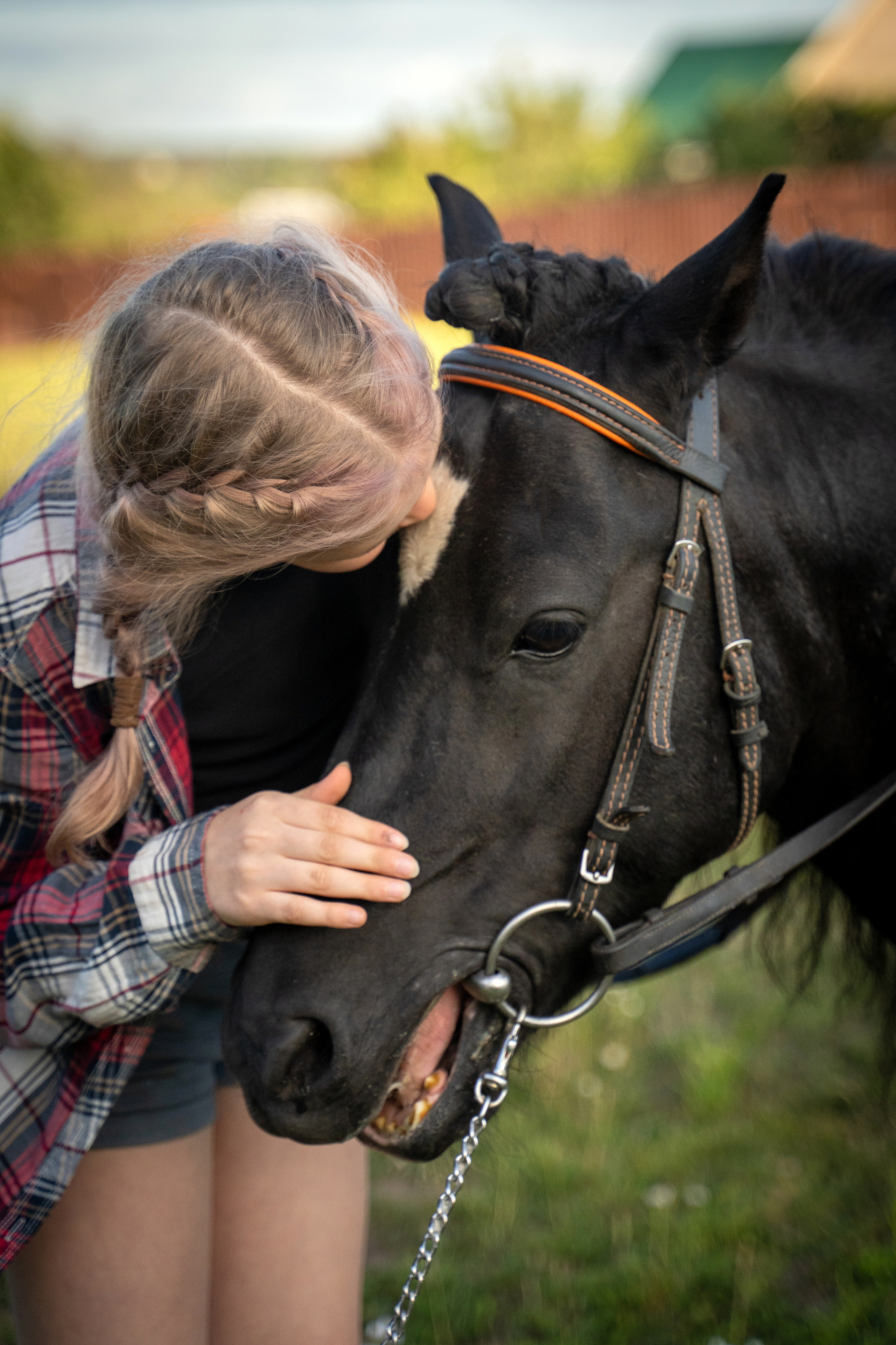 Фотосъемка с лошадью. Анималист фотограф. Фотосессия с лошадью на закате
