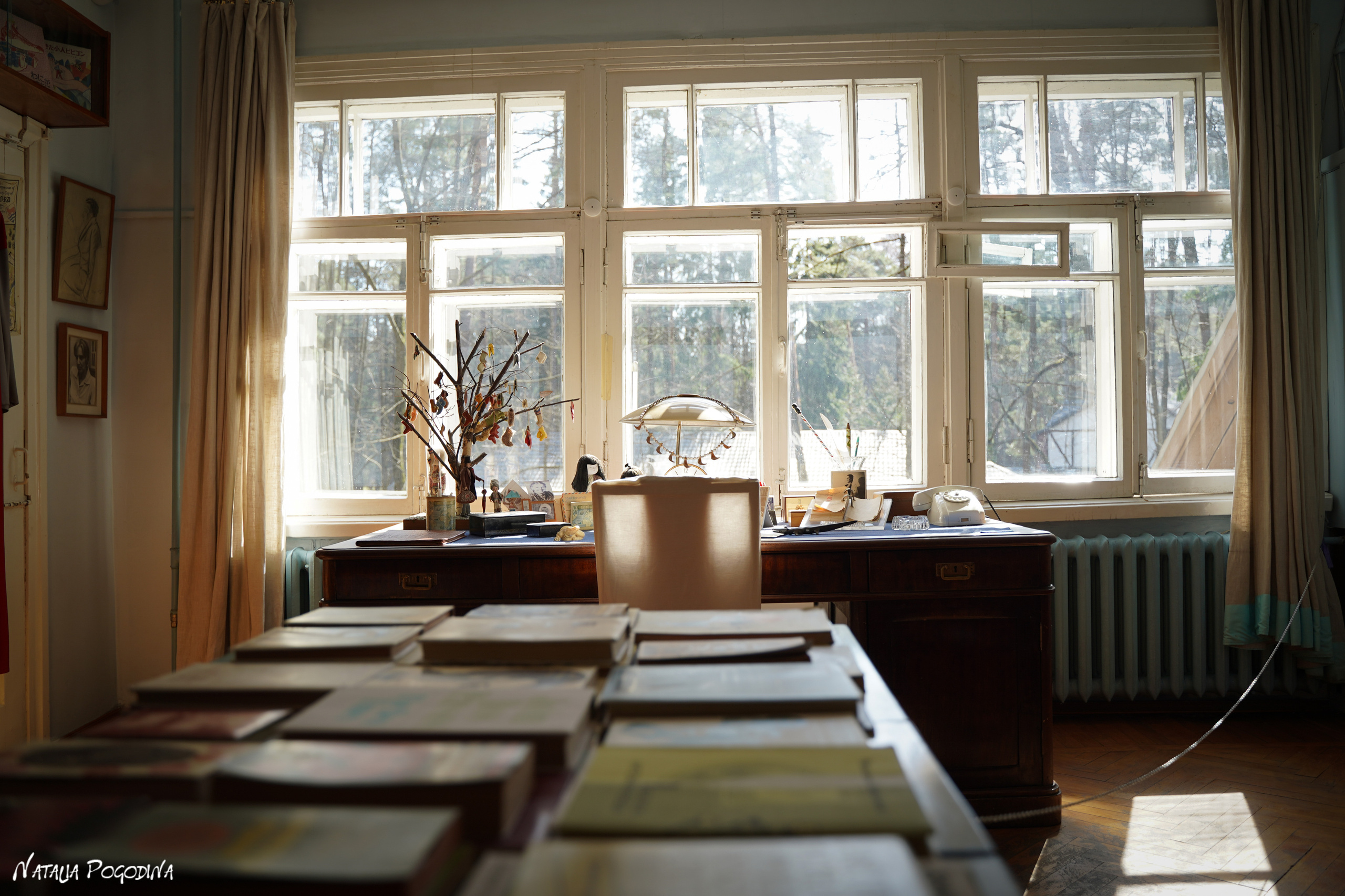 Фотопрогулка в Переделкино. Фотограф Наталья Погодина в г. Обнинске