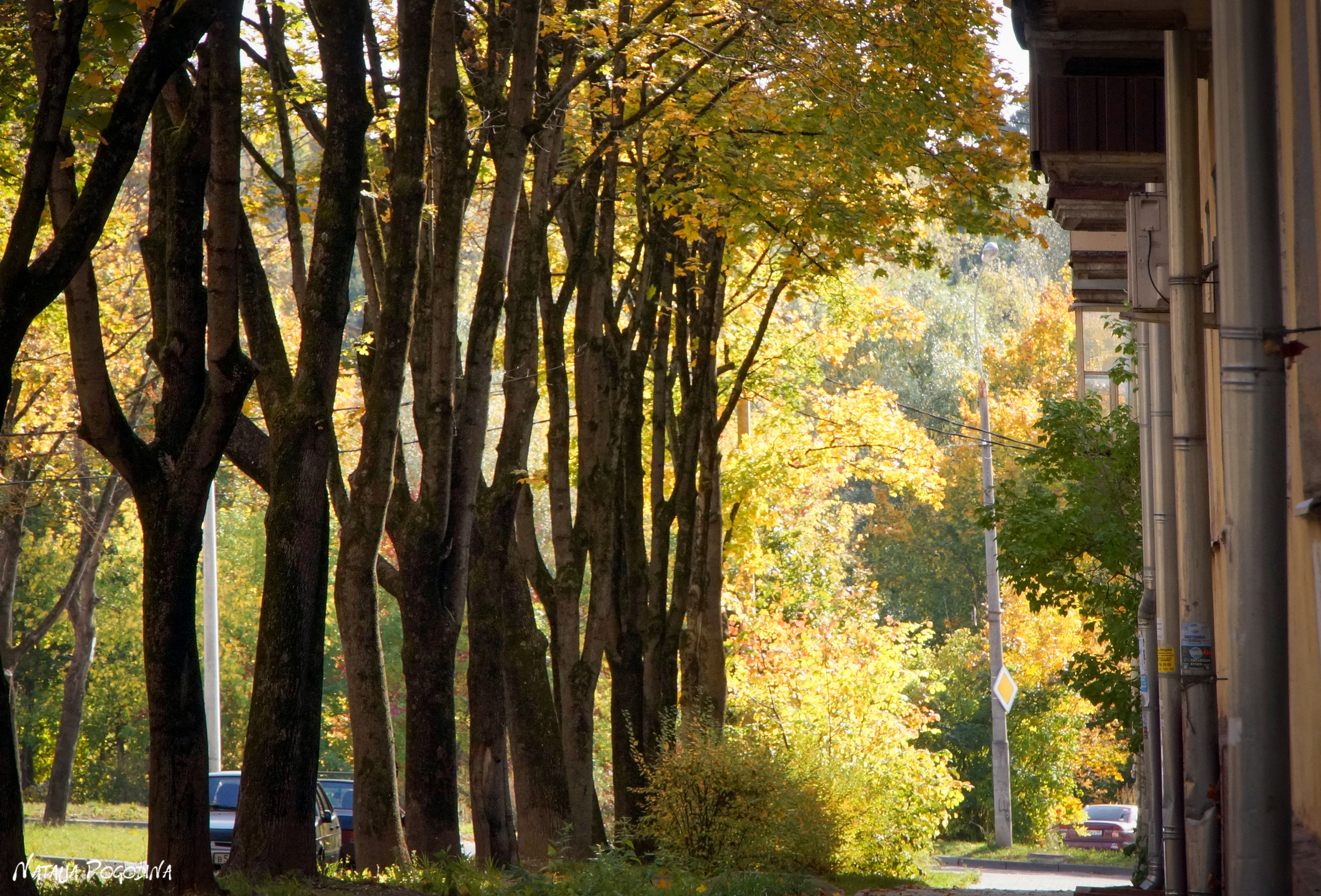 ОБНИНСК. Фотограф Наталья Погодина в г. Обнинске