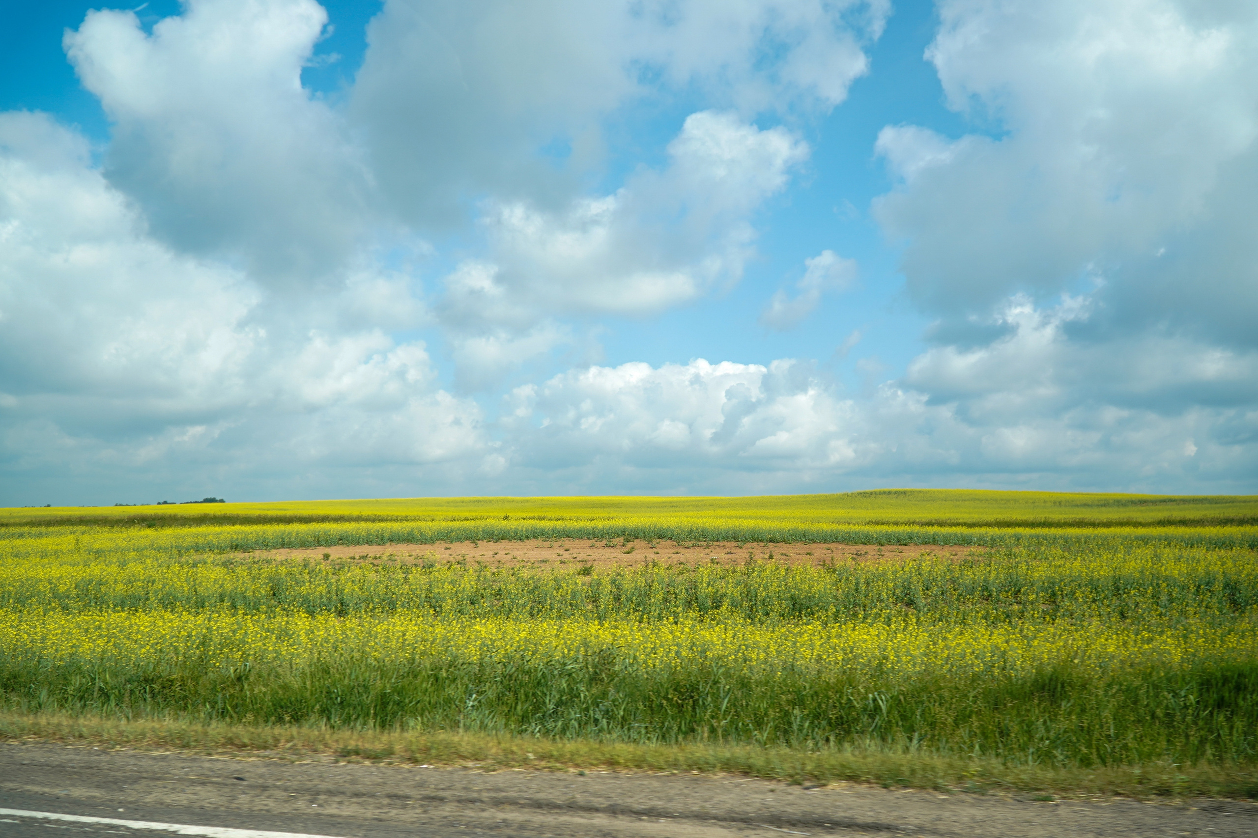 Беларусь. Июнь 2023. Поездка на 3 дня. Фотограф Наталья Погодина в г. Обнинске