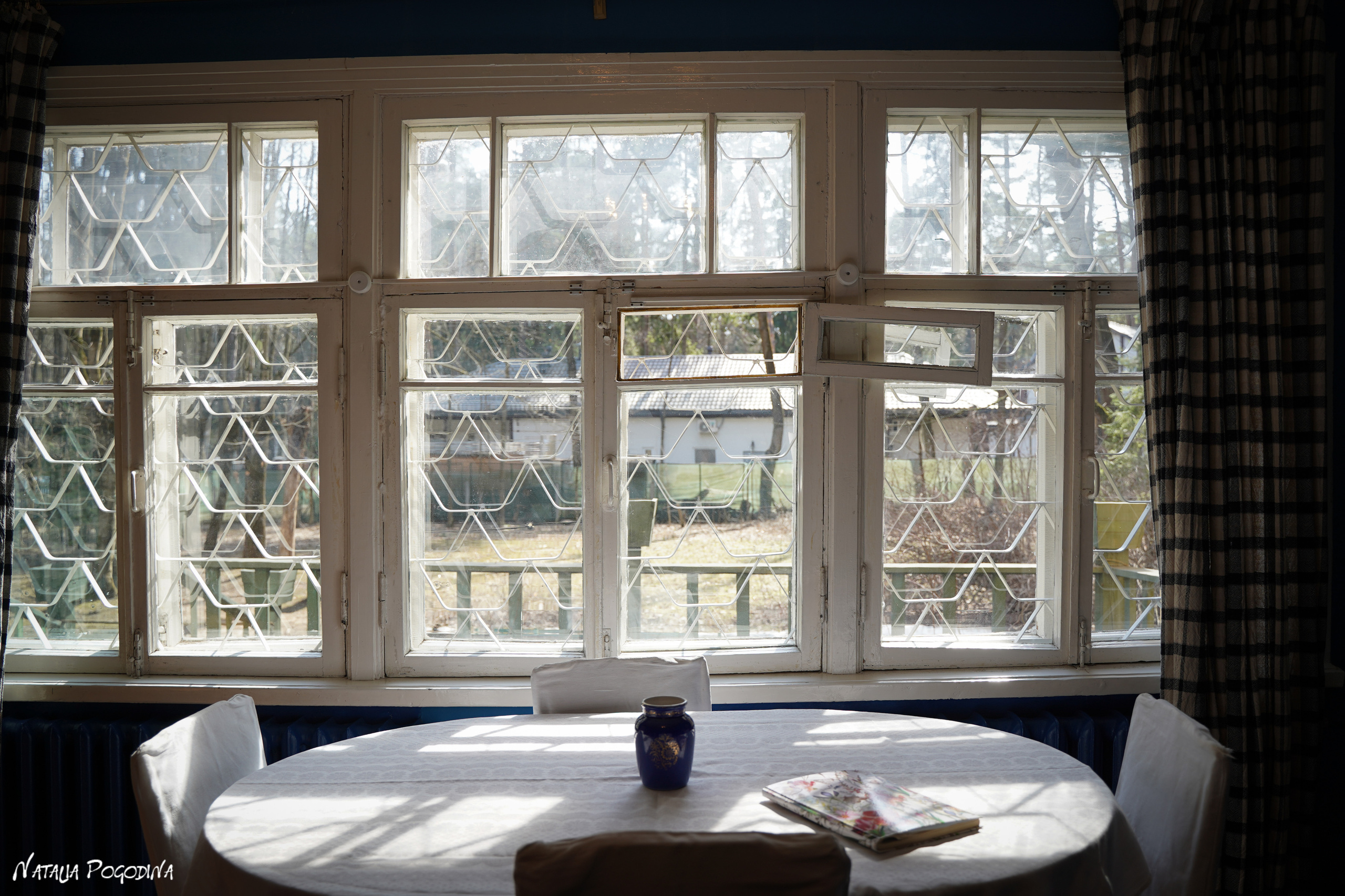 Фотопрогулка в Переделкино. Фотограф Наталья Погодина в г. Обнинске