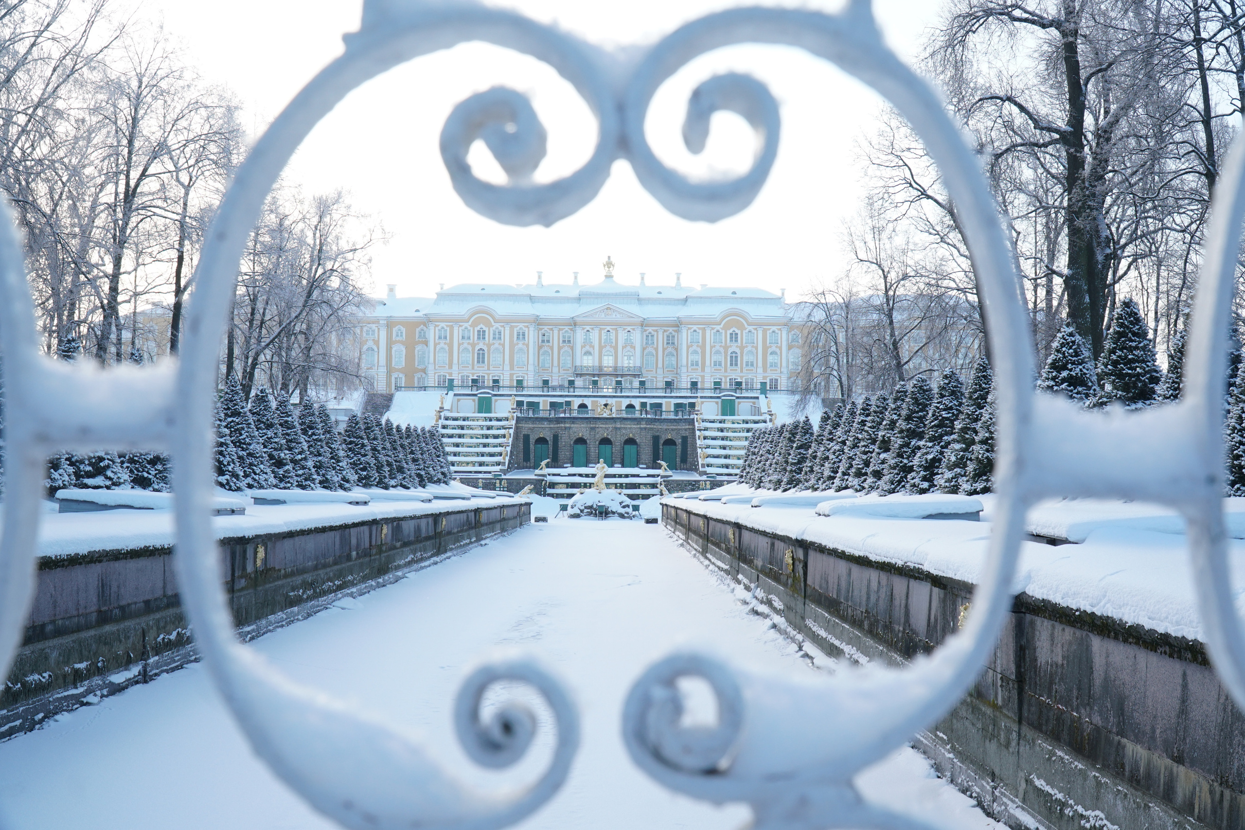 ПЕТЕРГОФ. Январь 2022. Фотограф Наталья Погодина в г. Обнинске