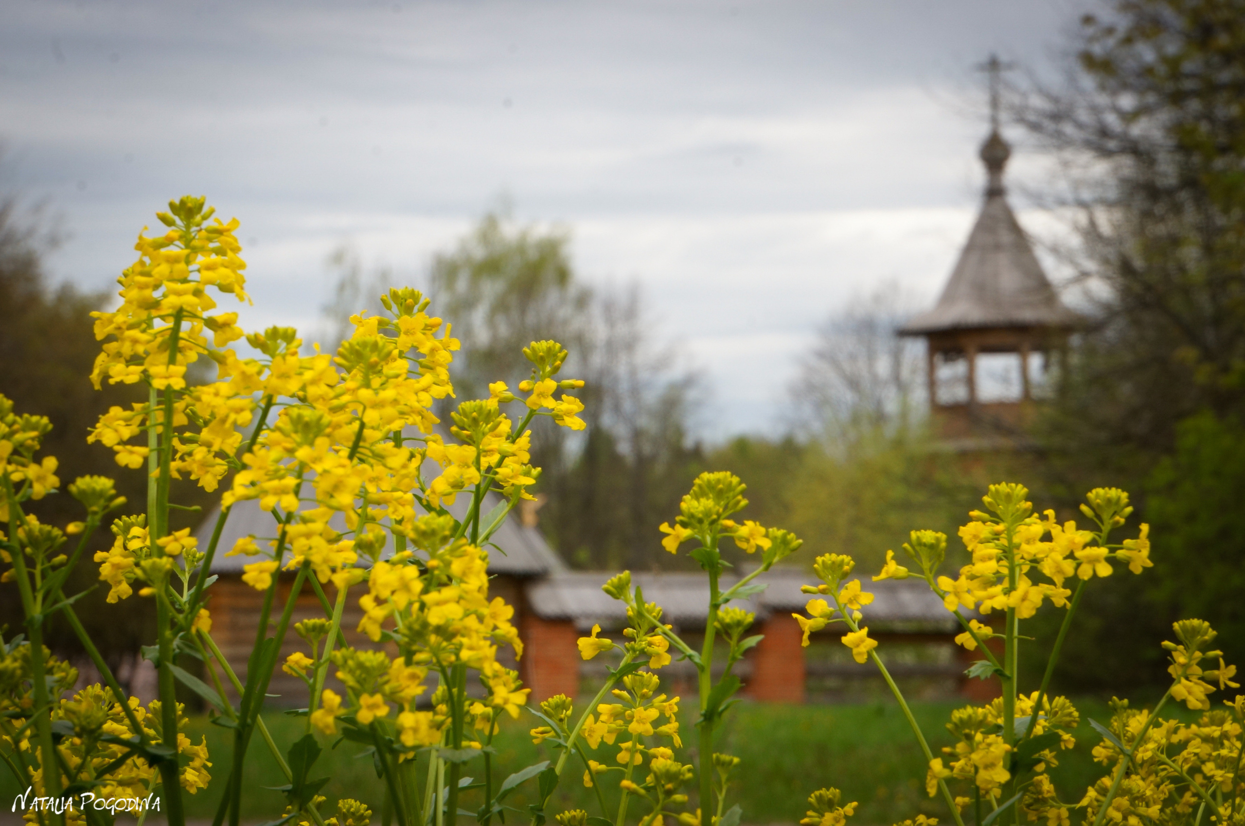 ОБНИНСК. Фотограф Наталья Погодина в г. Обнинске