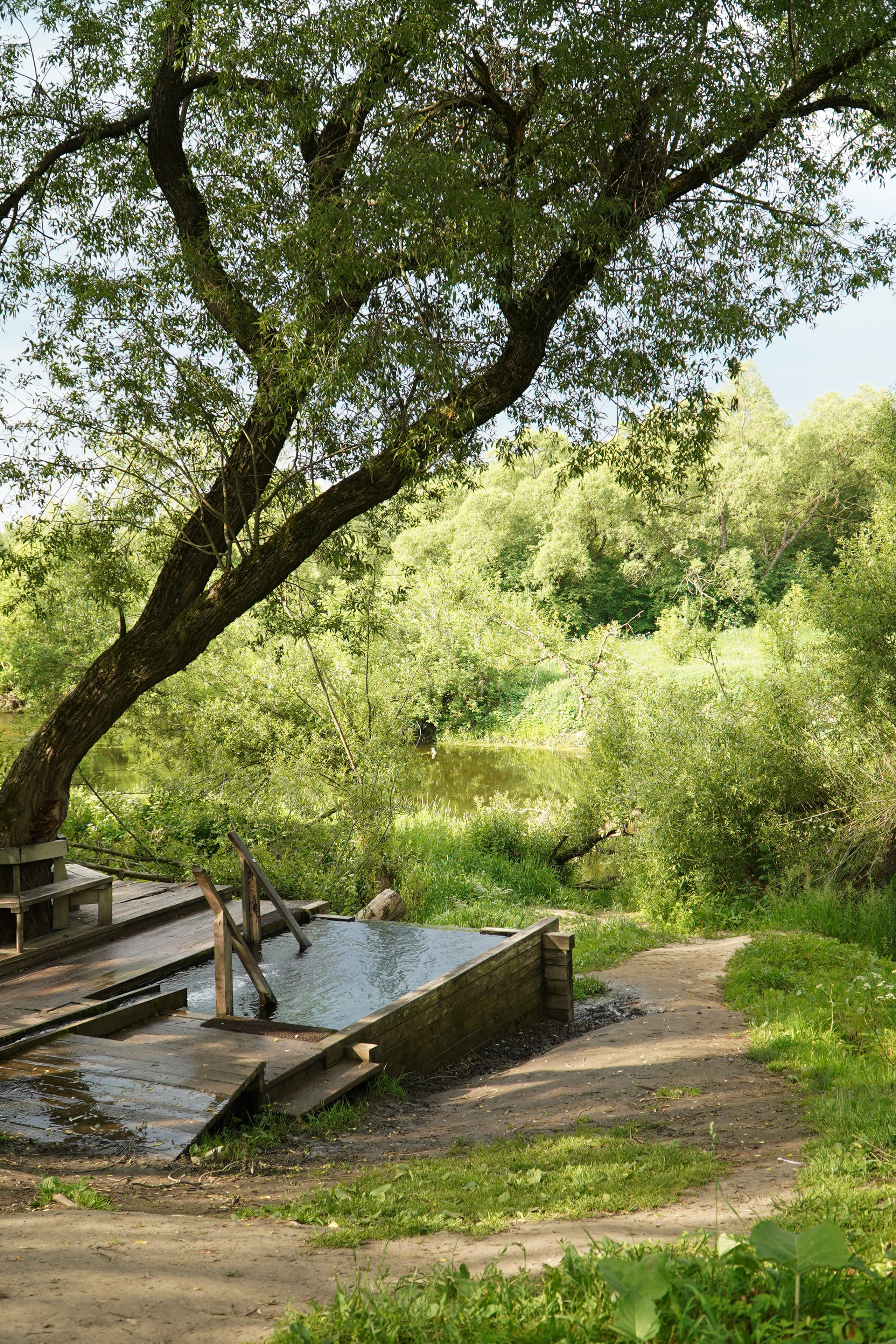 РУСИНОВО. Фотограф Наталья Погодина в г. Обнинске
