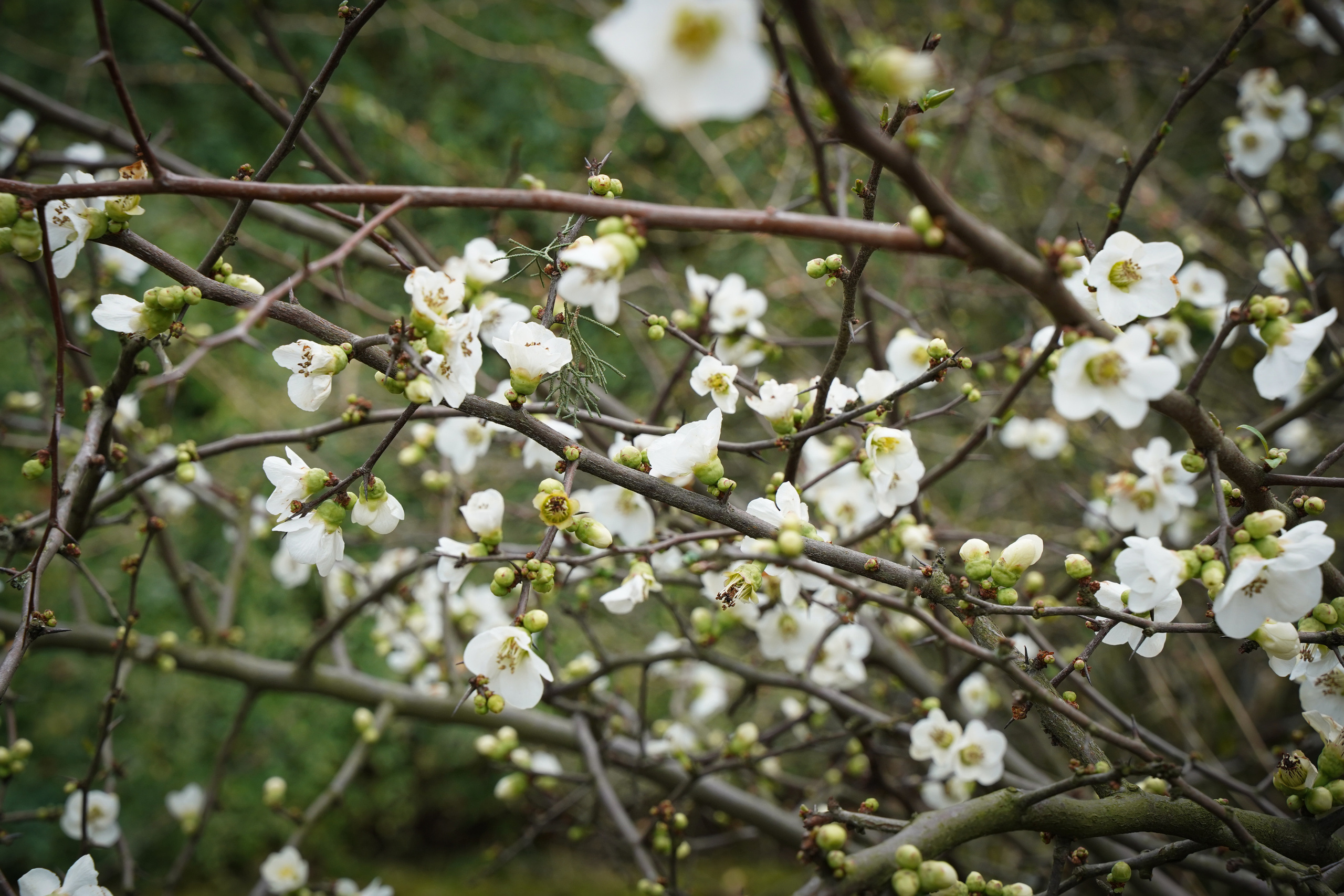Фото Сочи 2023. Фотограф Наталья Погодина в г. Обнинске