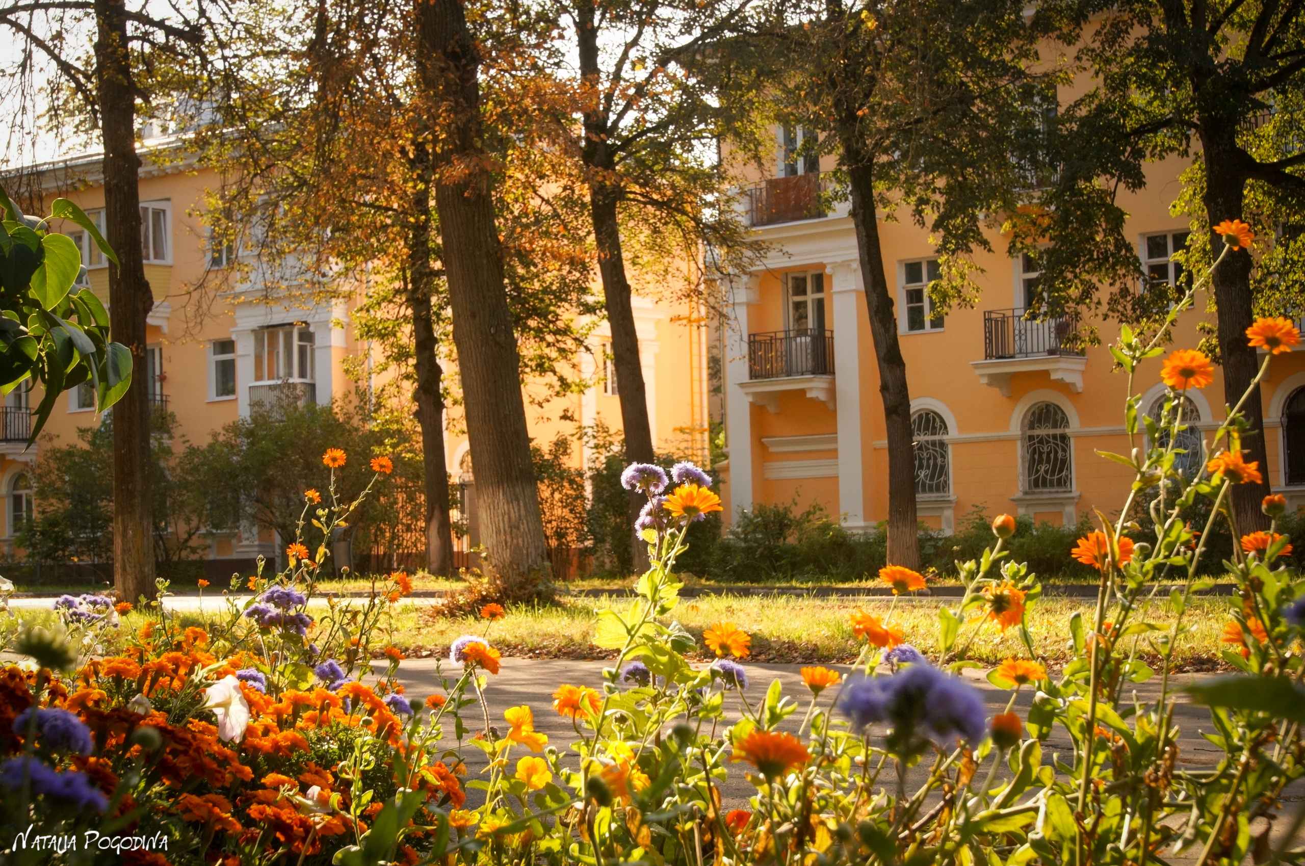 ОБНИНСК. Фотограф Наталья Погодина в г. Обнинске