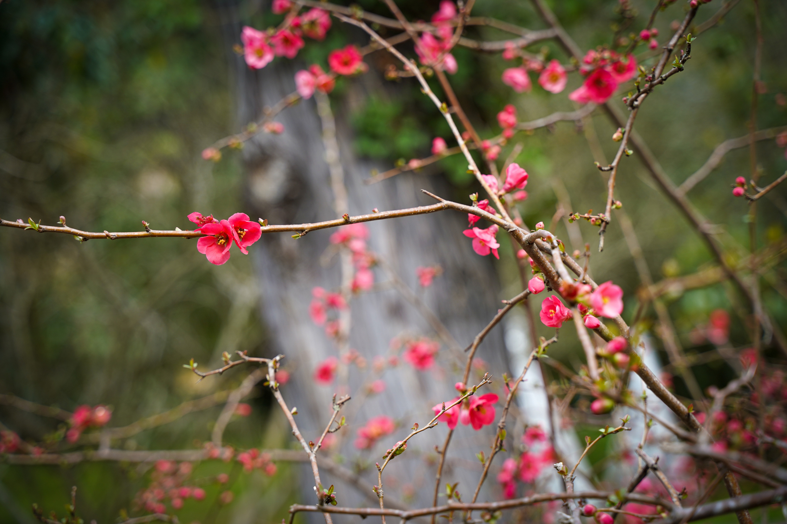 Фото Сочи 2023. Фотограф Наталья Погодина в г. Обнинске