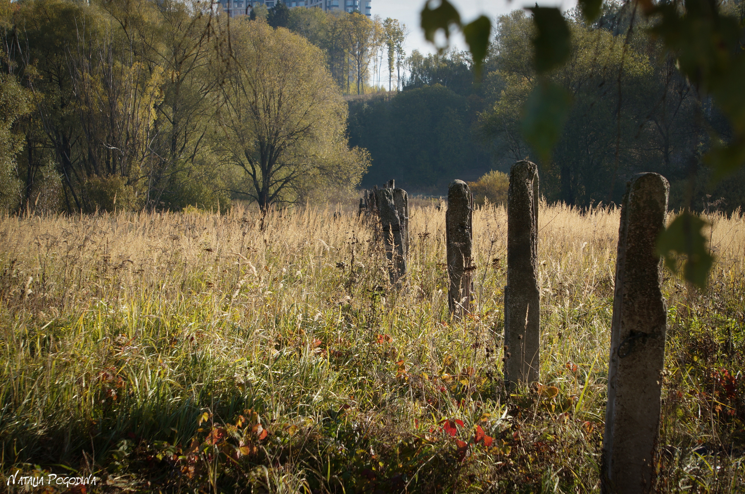 ОБНИНСК. Фотограф Наталья Погодина в г. Обнинске