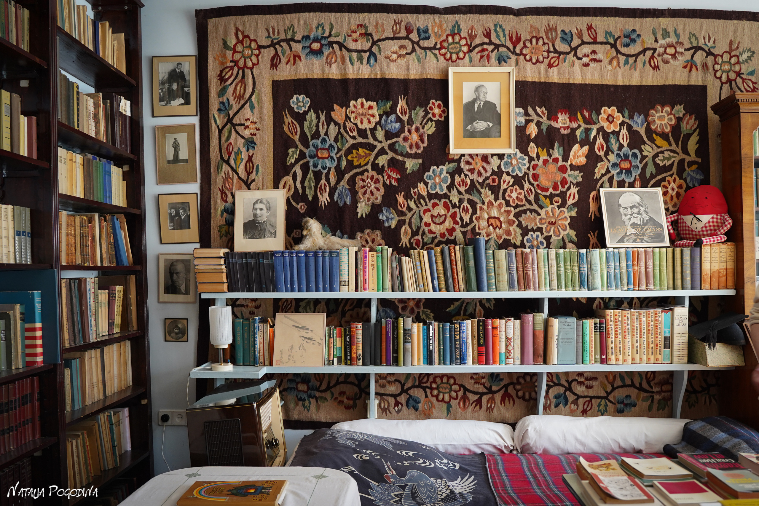 Фотопрогулка в Переделкино. Фотограф Наталья Погодина в г. Обнинске