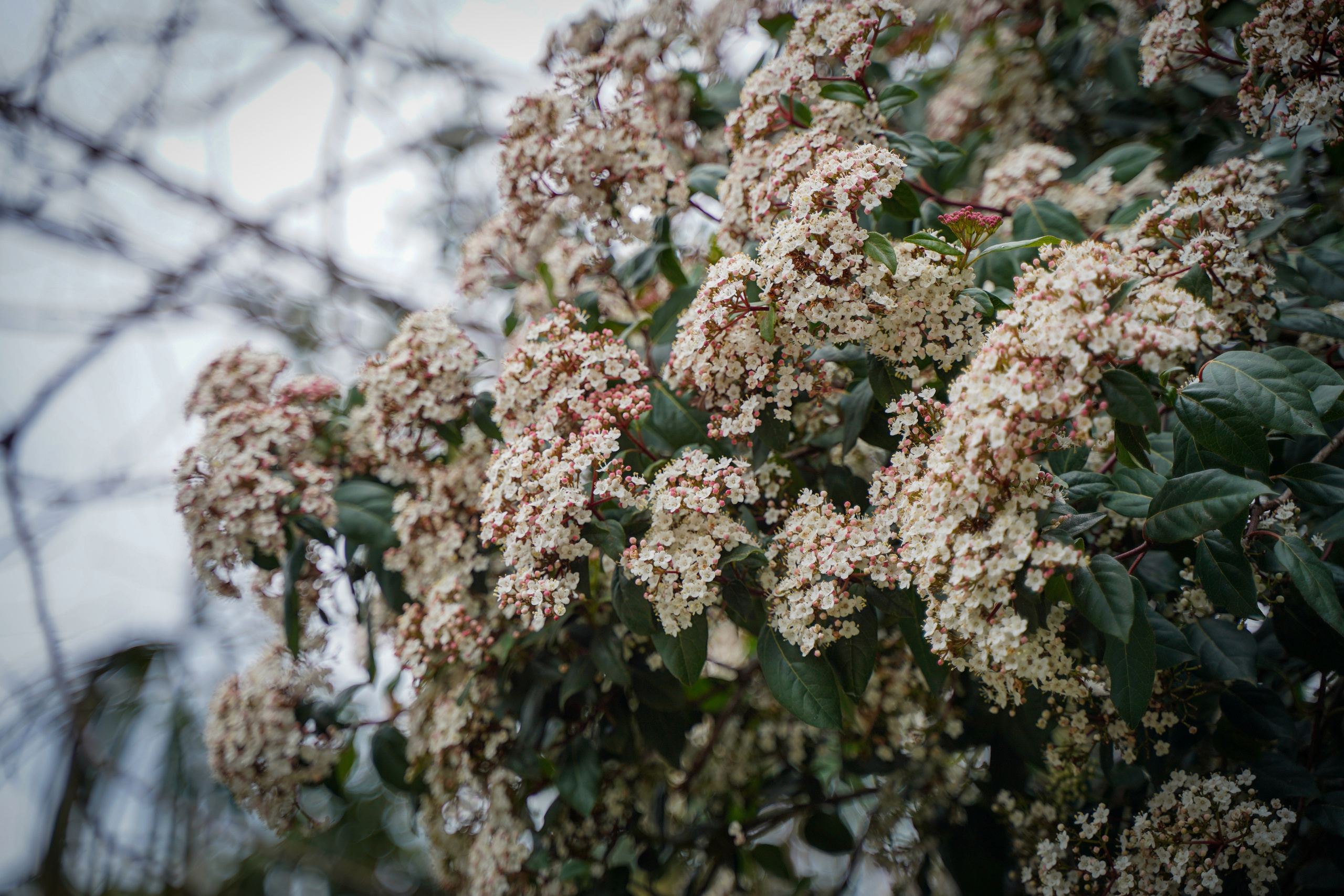 Фото Сочи 2023. Фотограф Наталья Погодина в г. Обнинске
