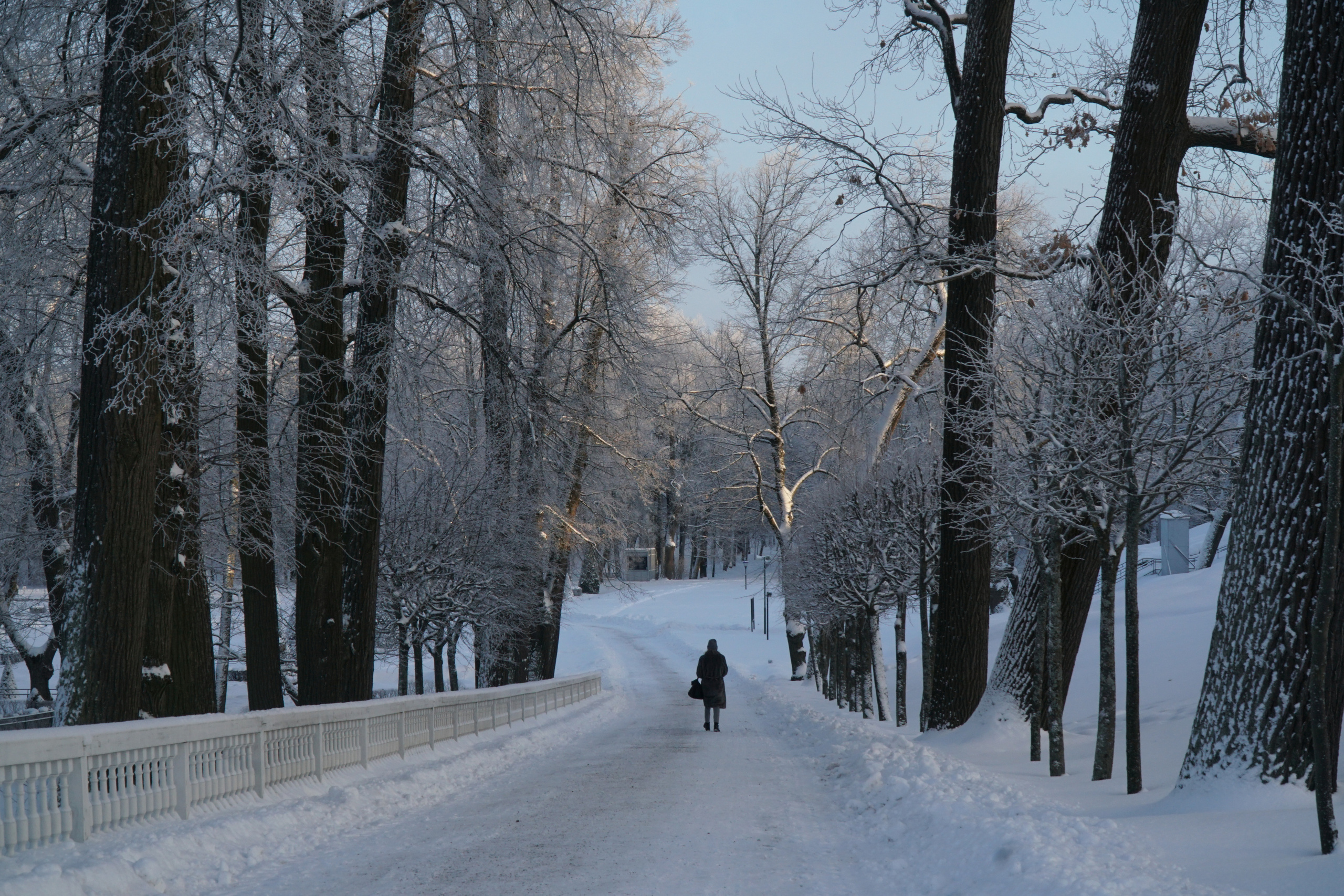 ПЕТЕРГОФ. Январь 2022. Фотограф Наталья Погодина в г. Обнинске