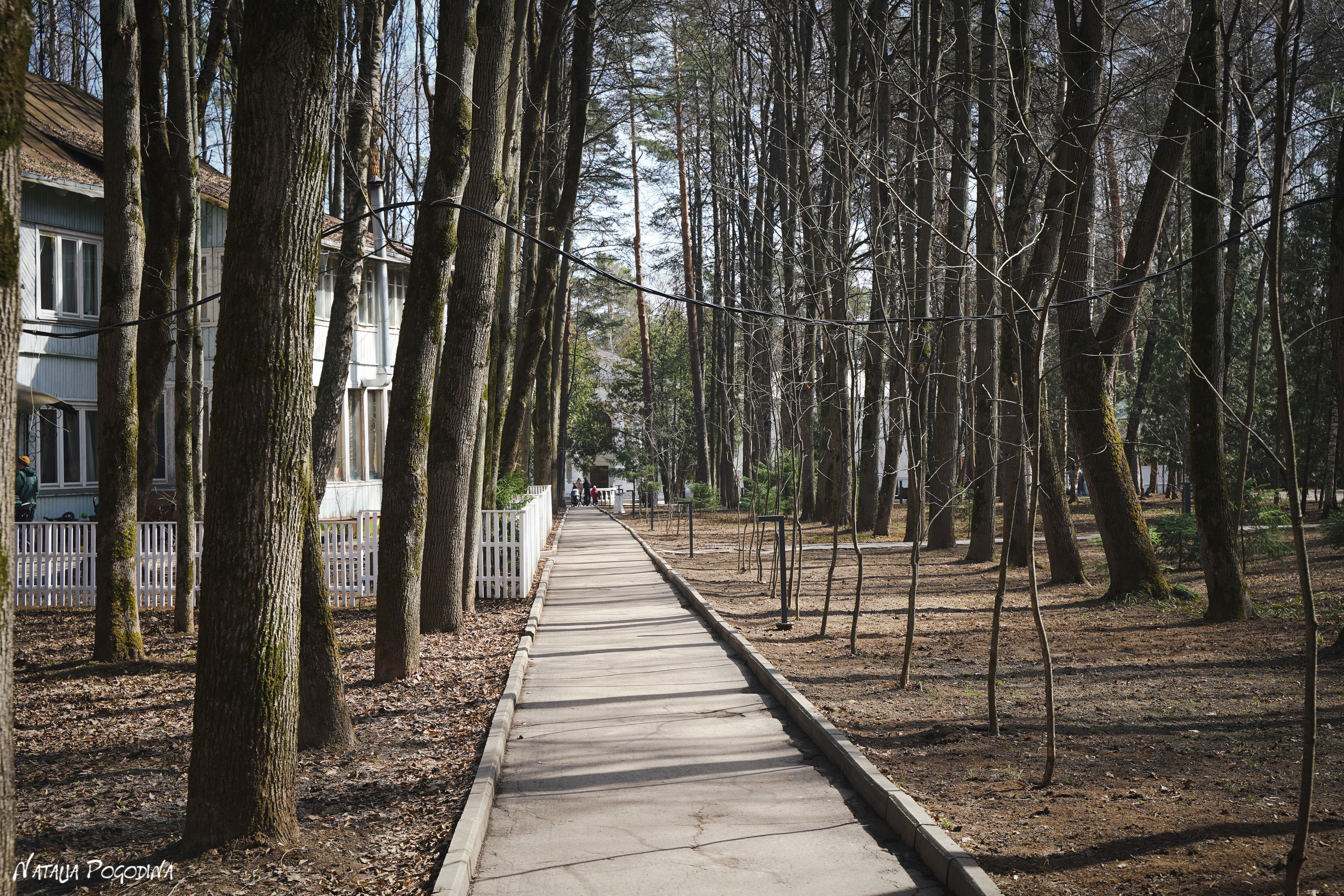 Фотопрогулка в Переделкино. Фотограф Наталья Погодина в г. Обнинске