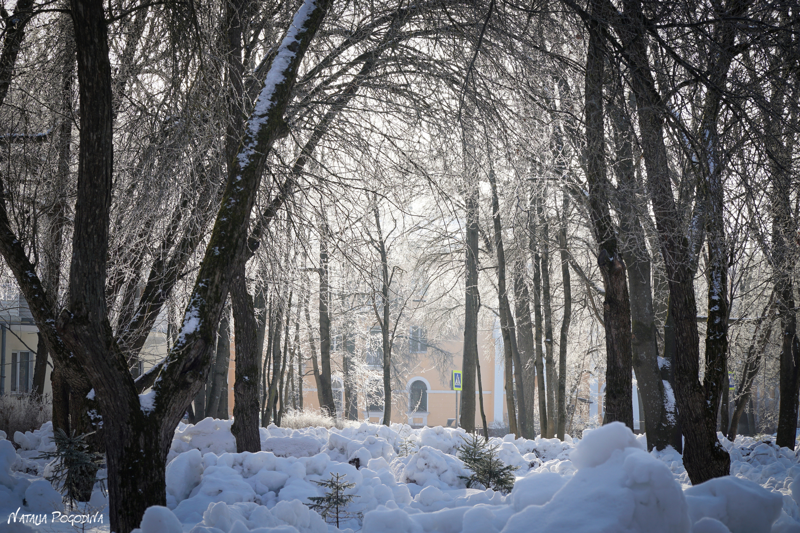 ОБНИНСК. Фотограф Наталья Погодина в г. Обнинске