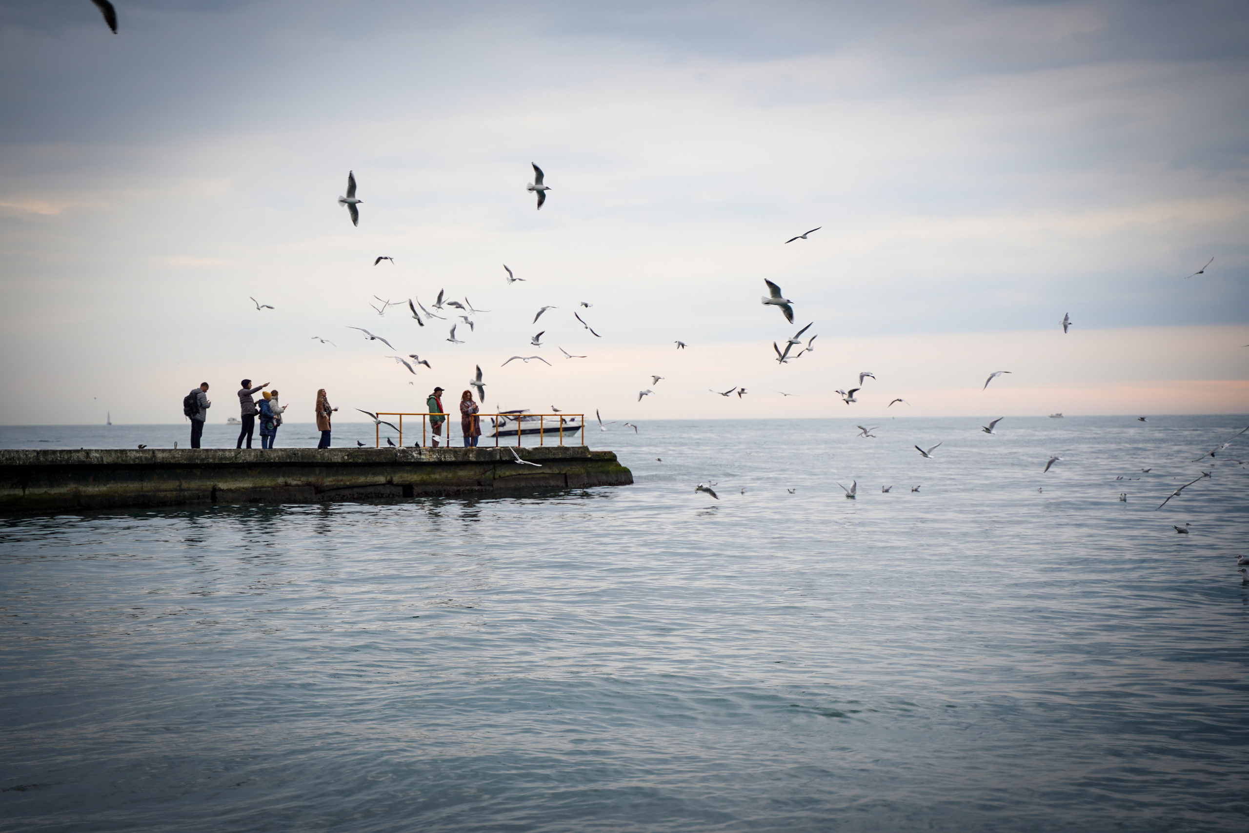 Фото Сочи 2023. Фотограф Наталья Погодина в г. Обнинске