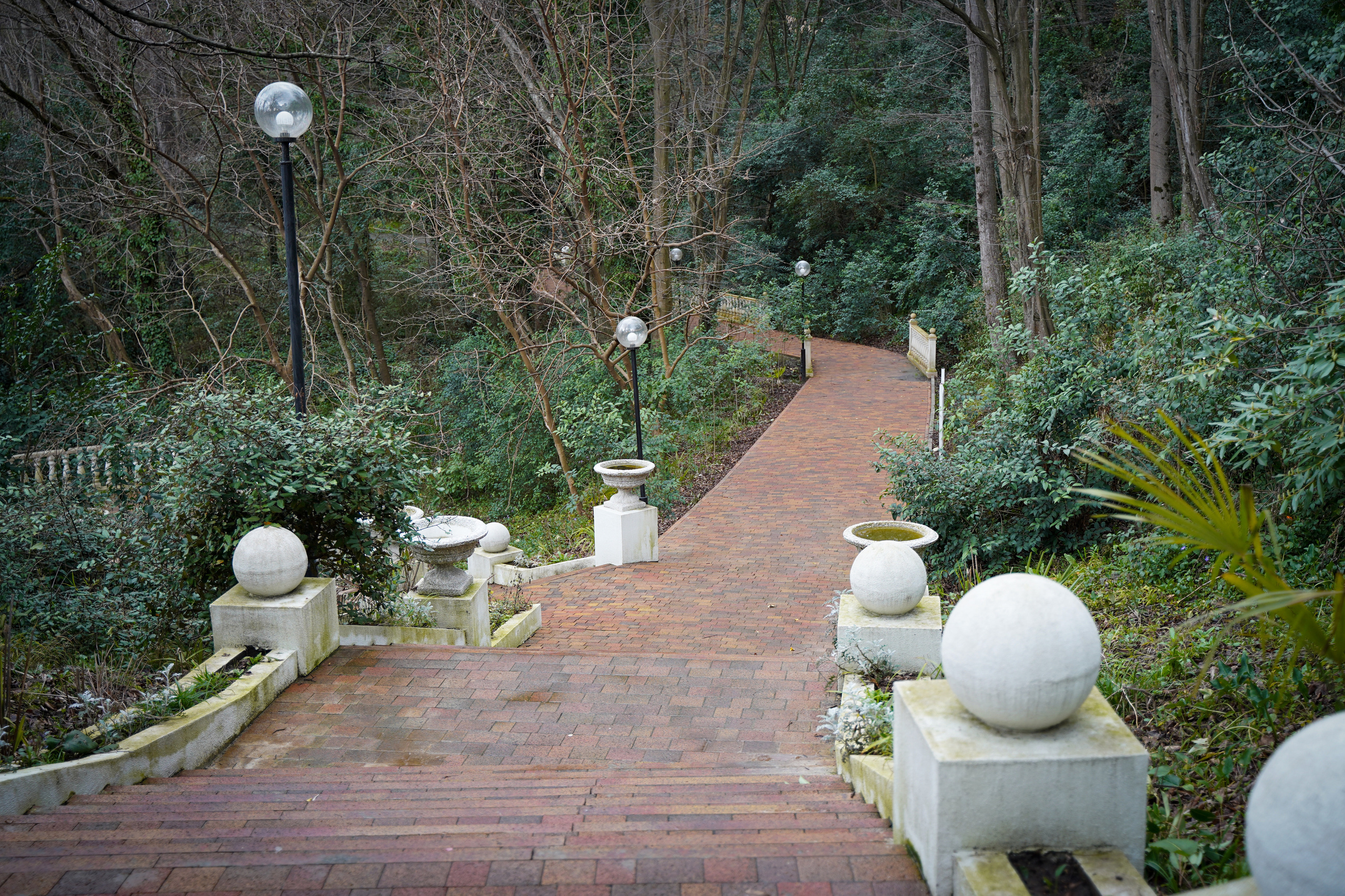 Фото Сочи 2023. Фотограф Наталья Погодина в г. Обнинске