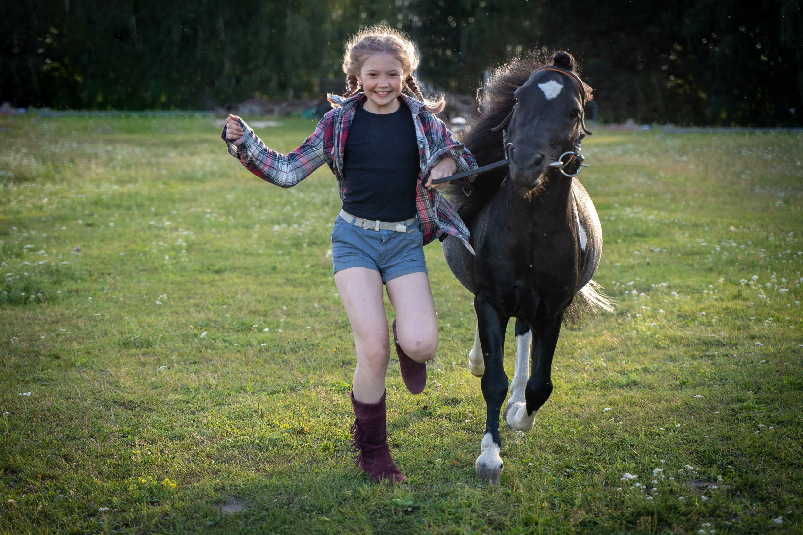 Фотосъемка с лошадью. Анималист фотограф. Фотосессия с лошадью на закате